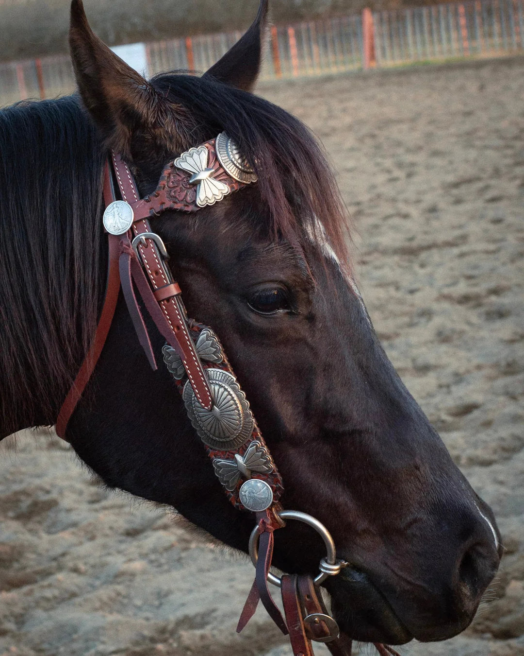 The Dinero Headstall