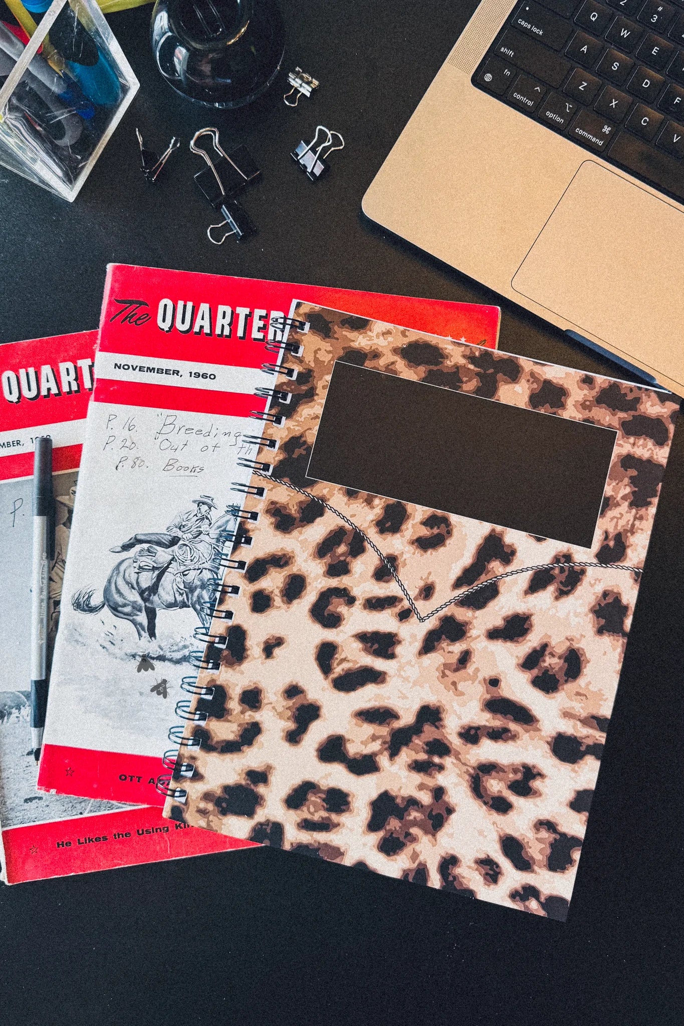 The Notebook - Meowdy