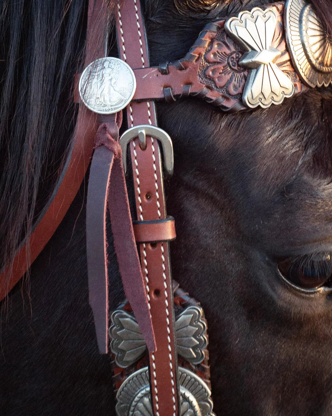 The Dinero Headstall