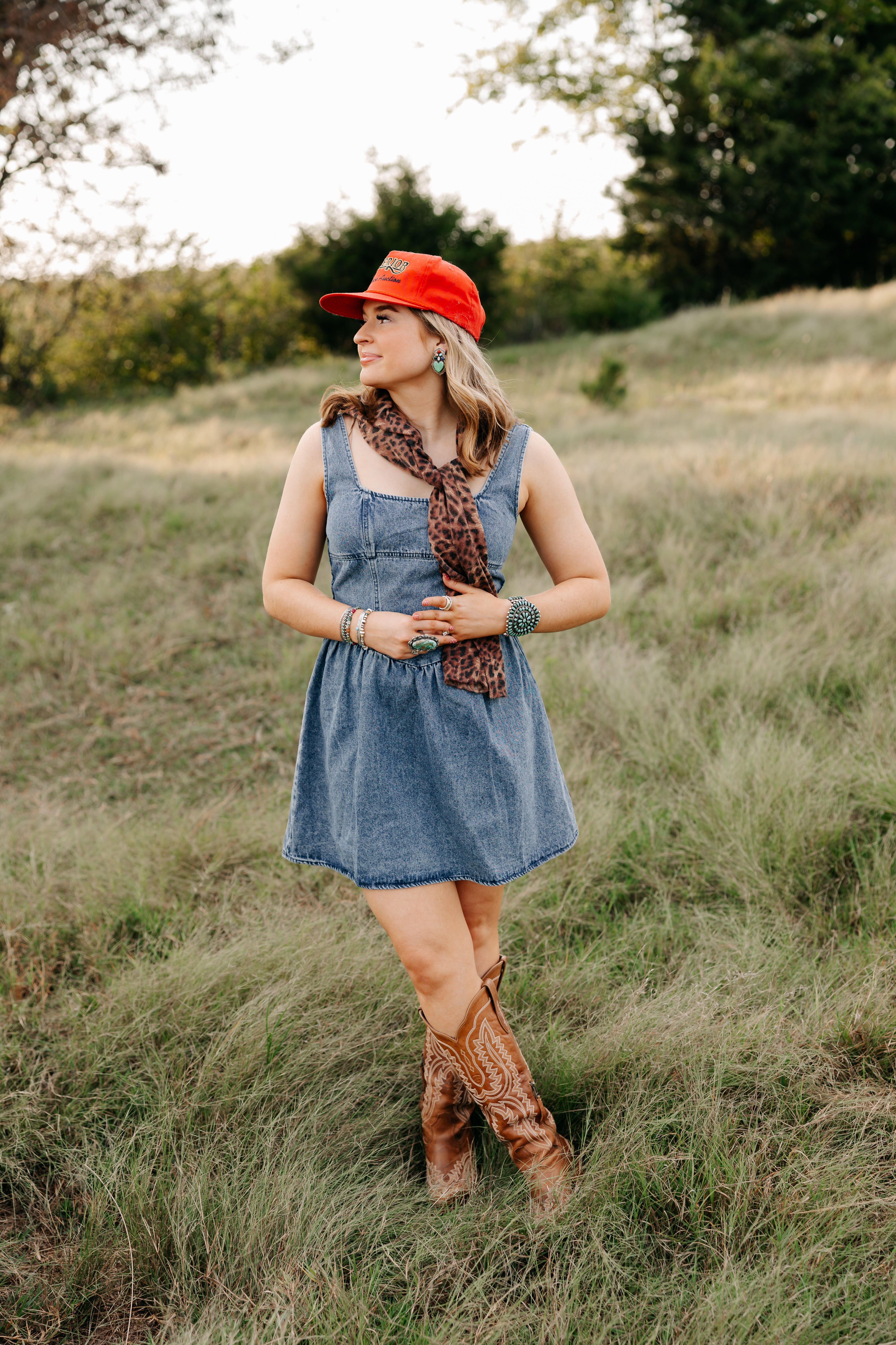 The Taylor Denim Dress