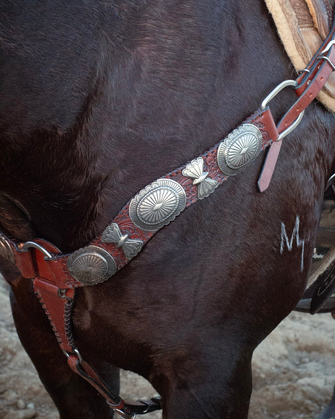 The Dinero Breast Collar