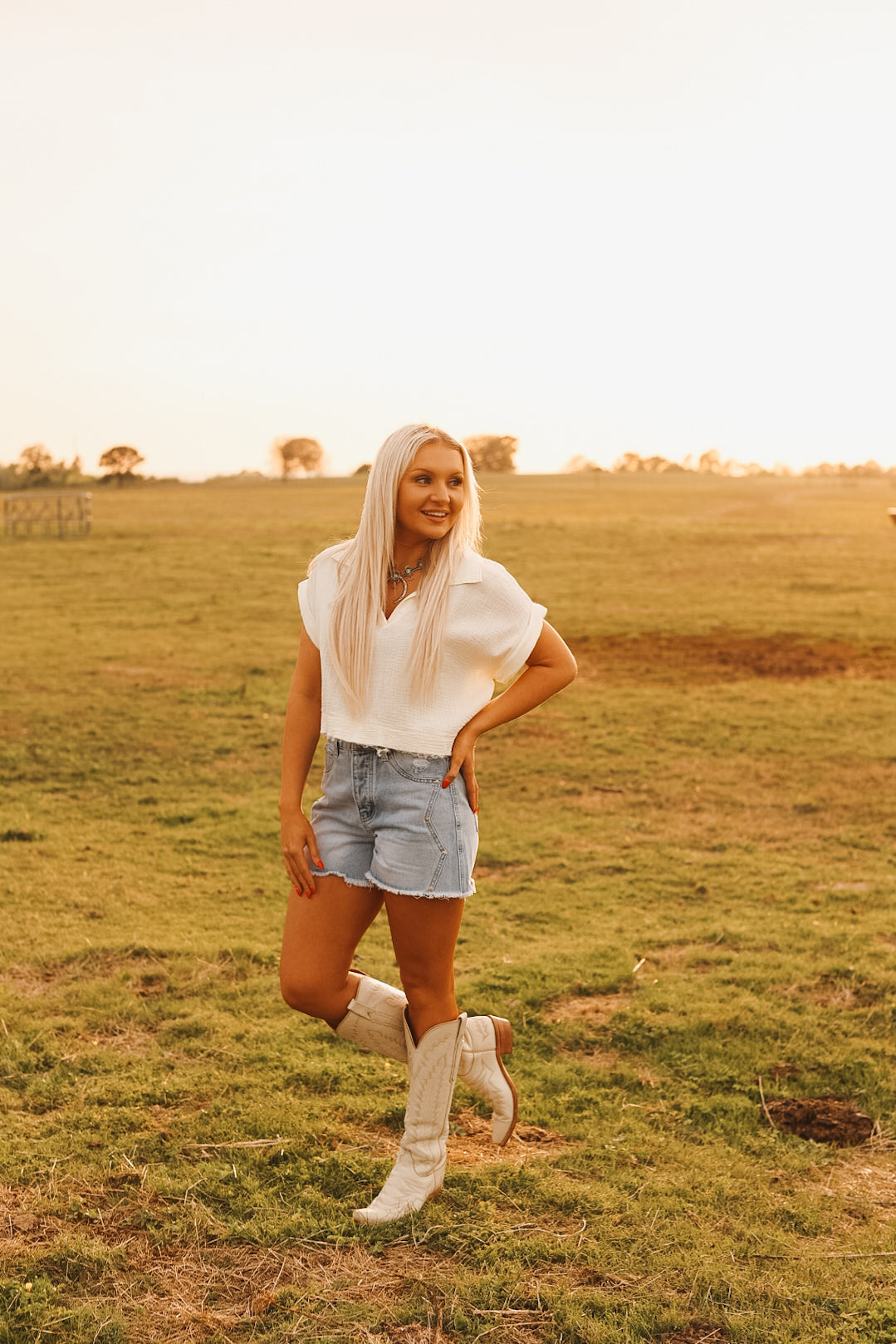 The Wayne Western Shorts size 24