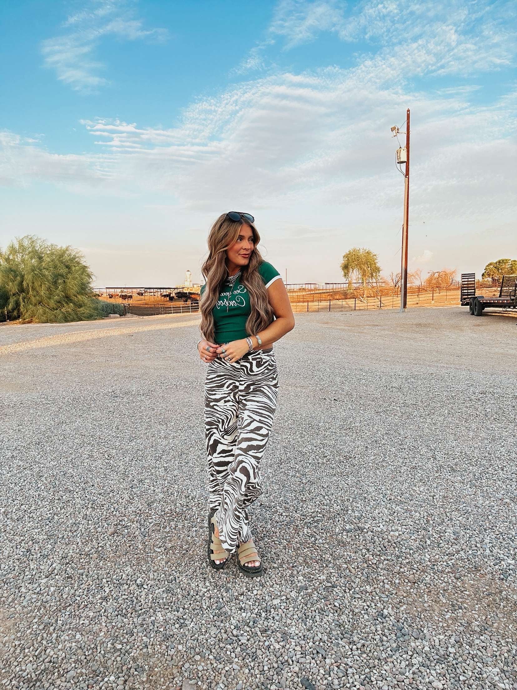 The Zebra Pants - best seller