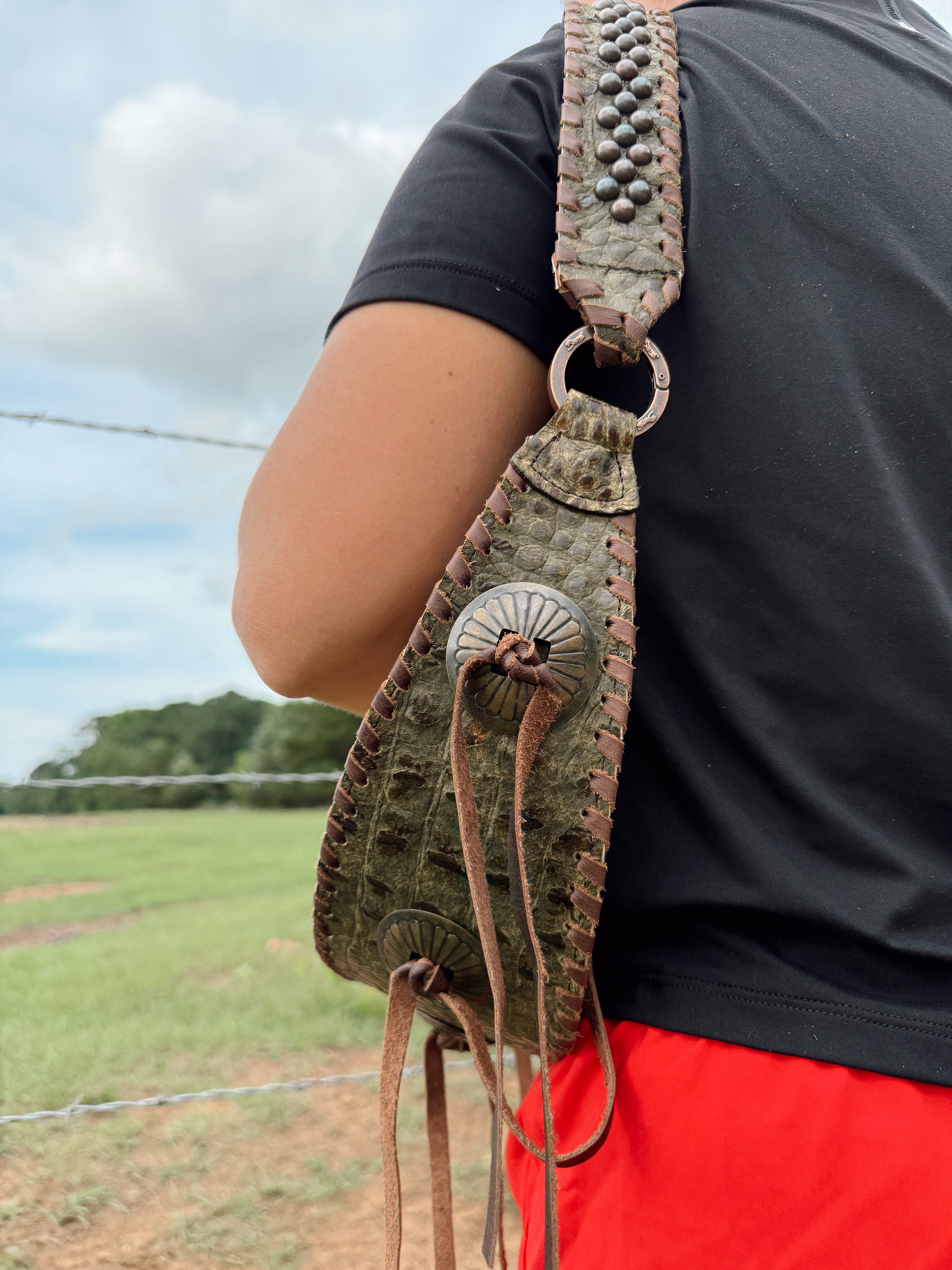 The Armadillo Bag