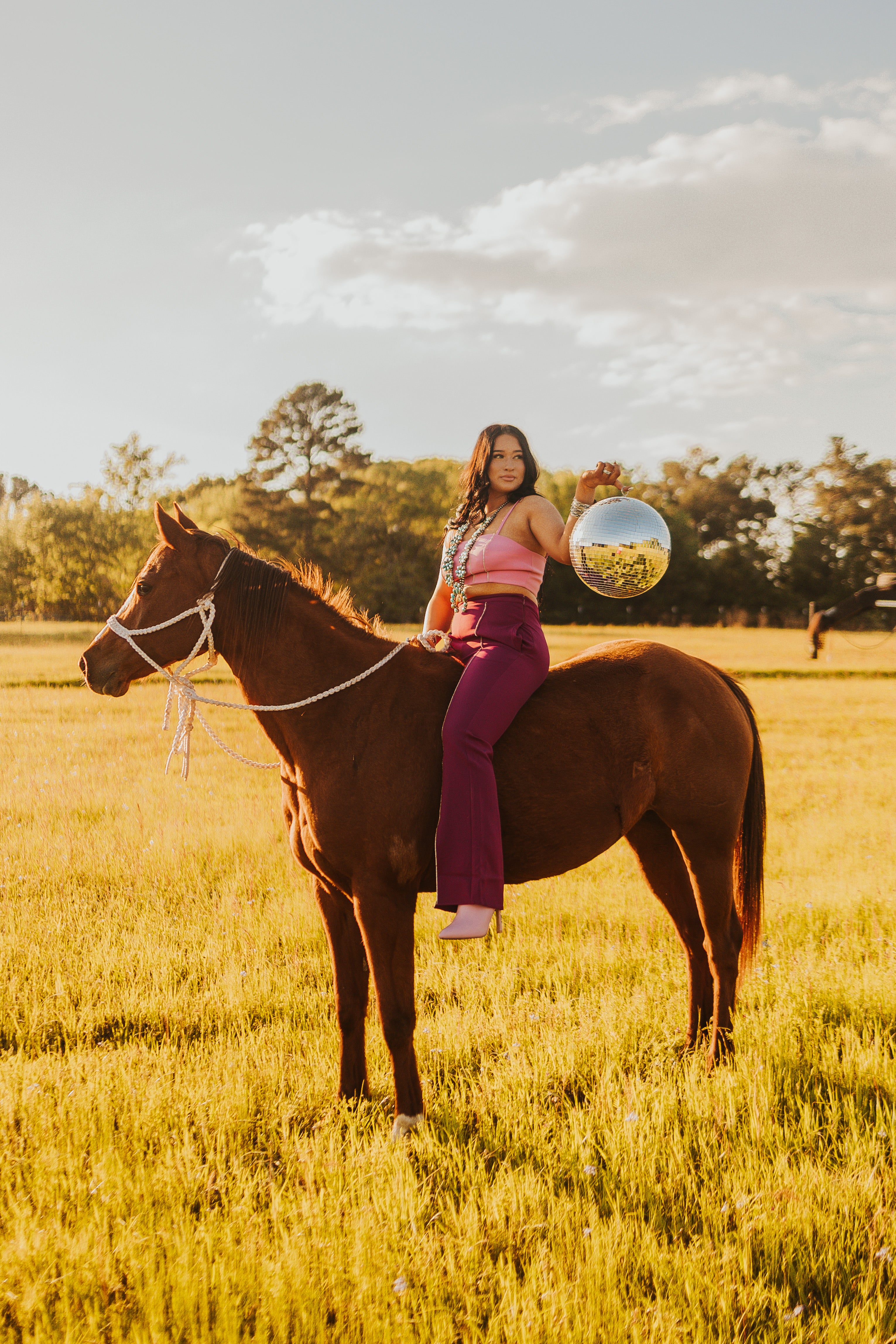The Rhinestone Pants
