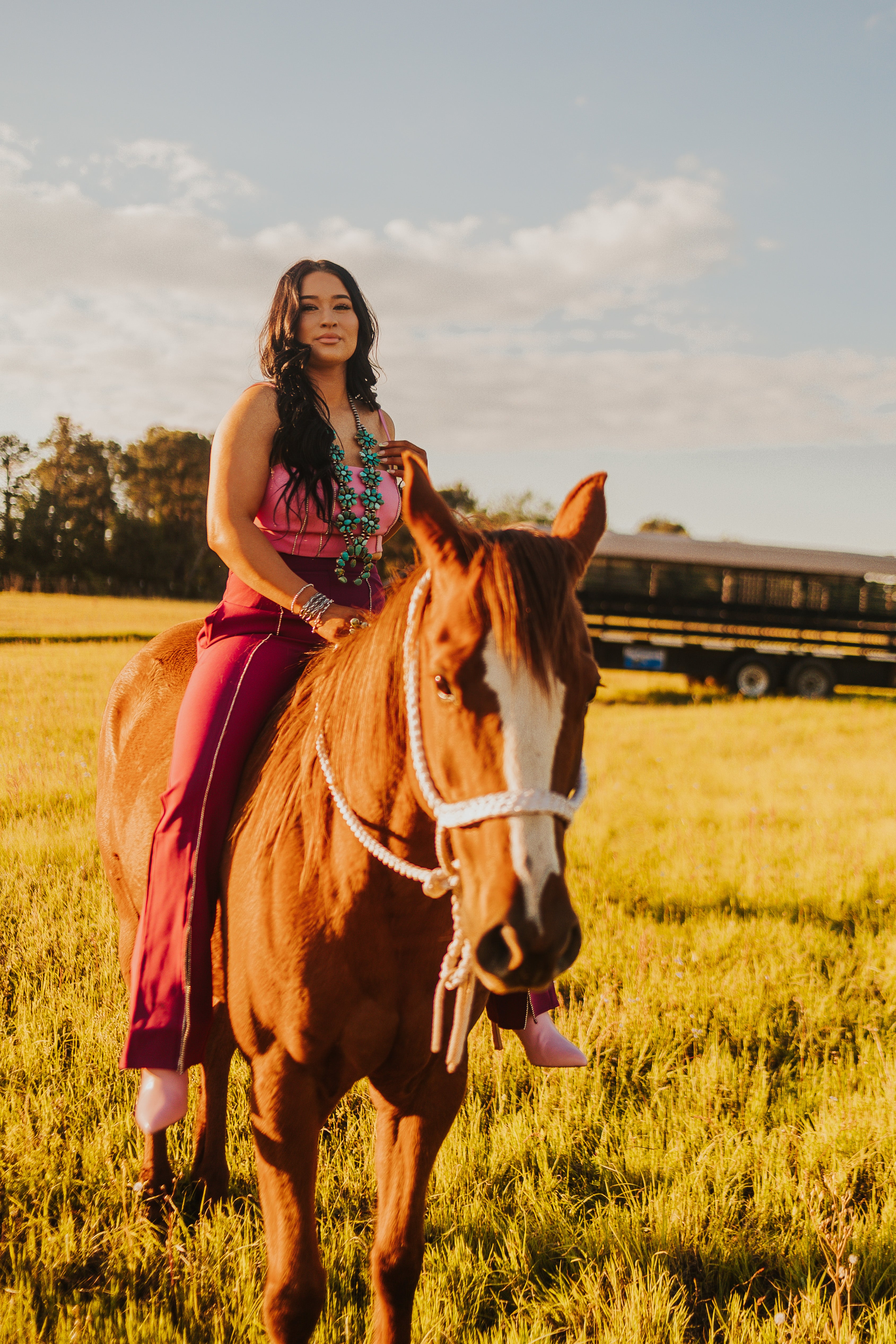 The Rhinestone Pants