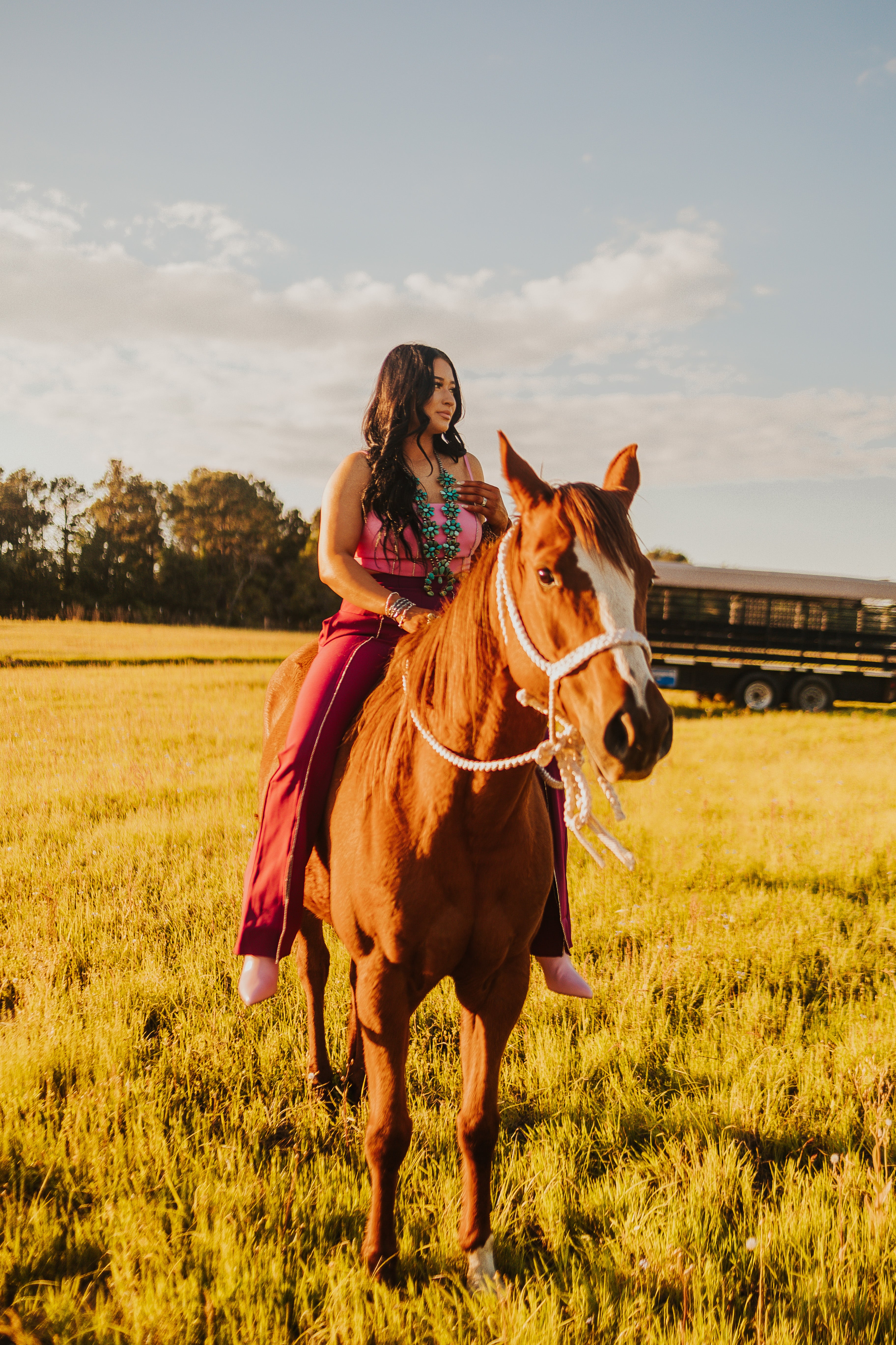 The Rhinestone Pants