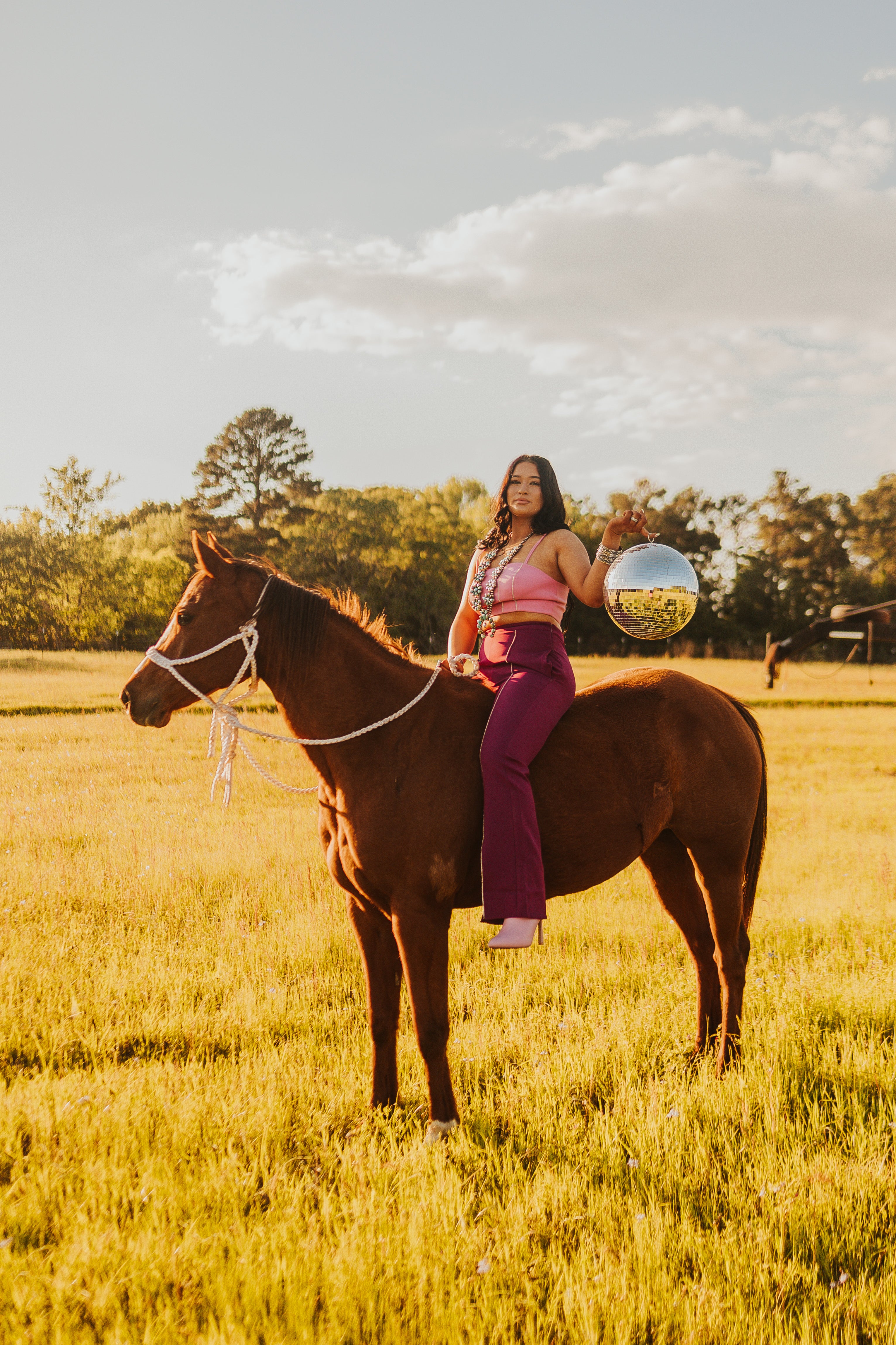 The Rhinestone Pants