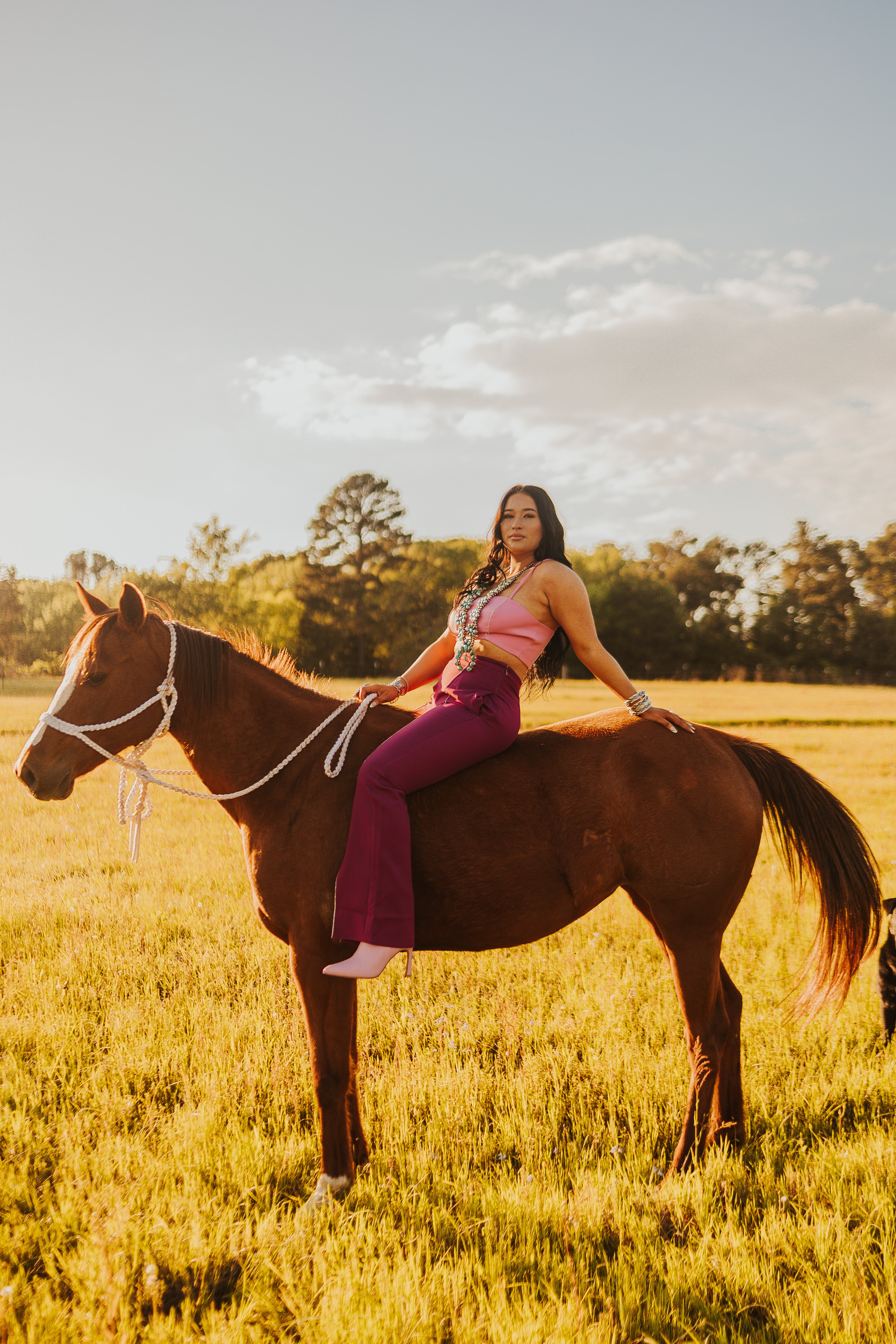 The Rhinestone Pants