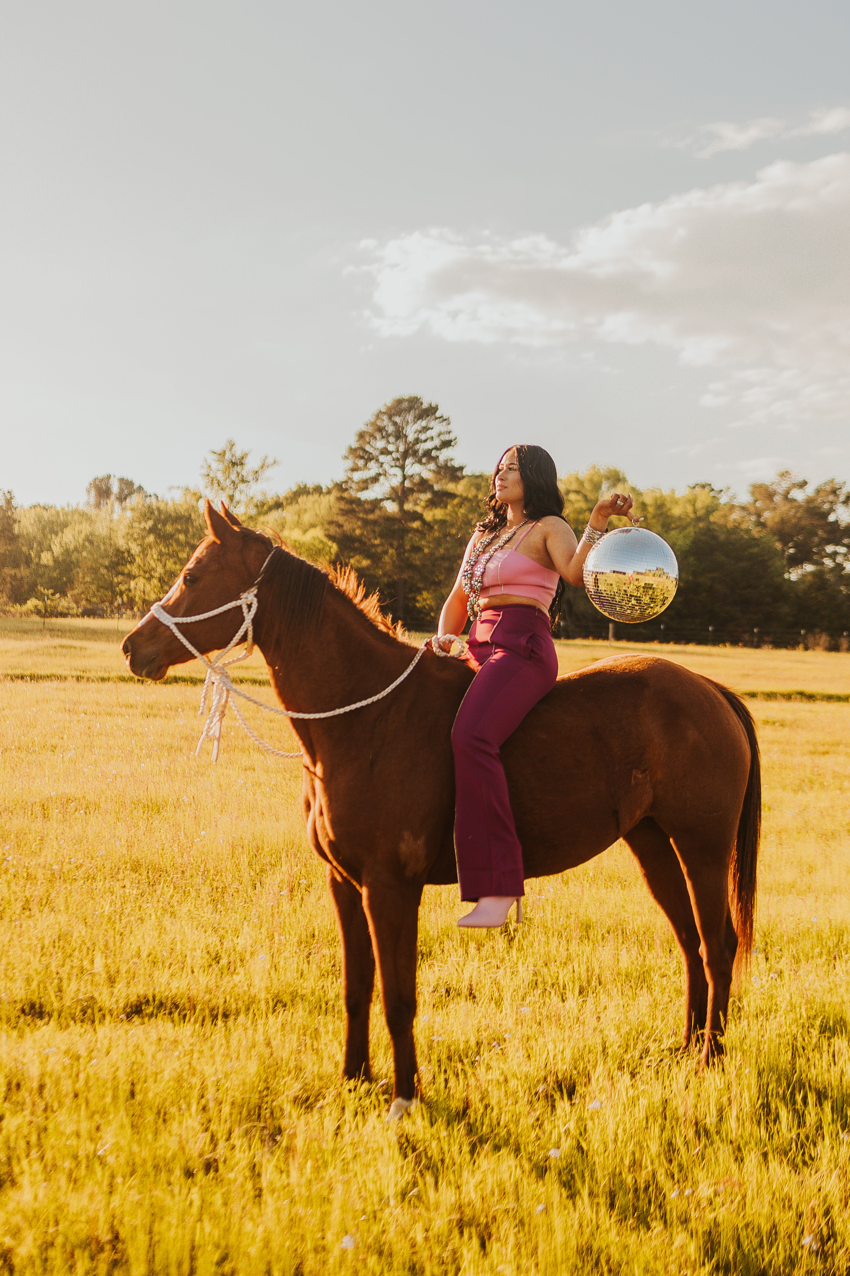 The Rhinestone Pants
