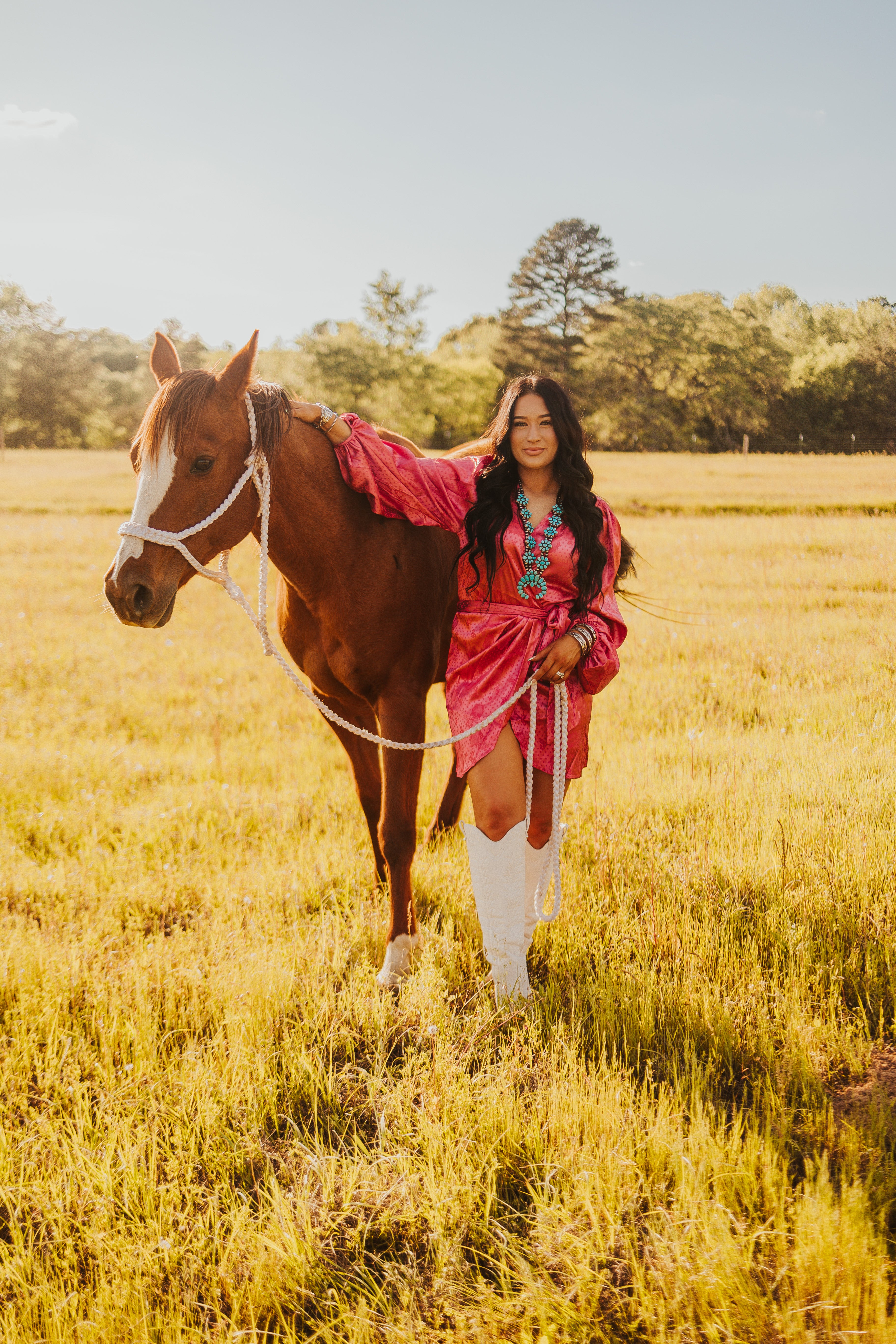 The Santa Fe Dress - small