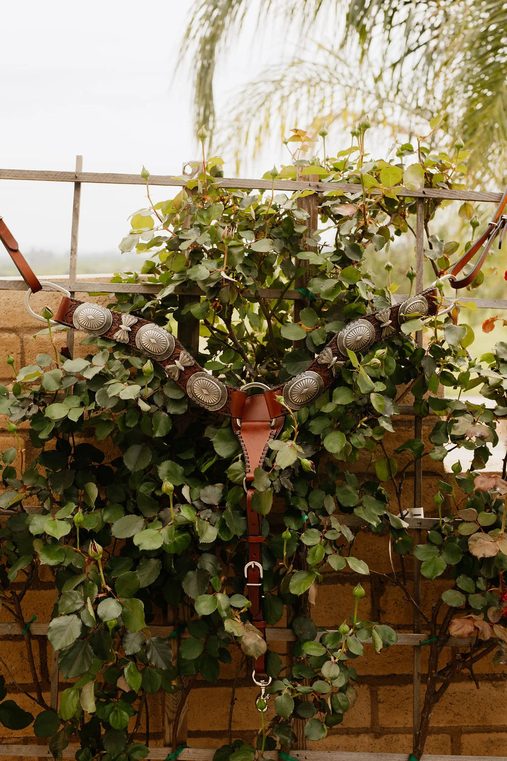 The Elko Breast Collar
