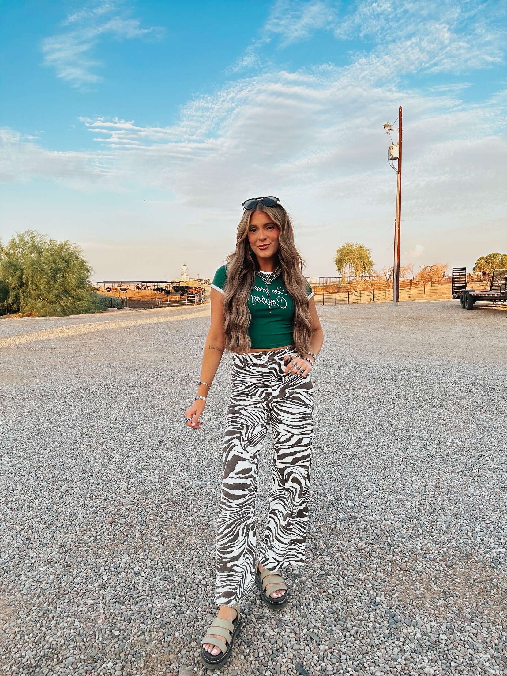 The Zebra Pants - best seller