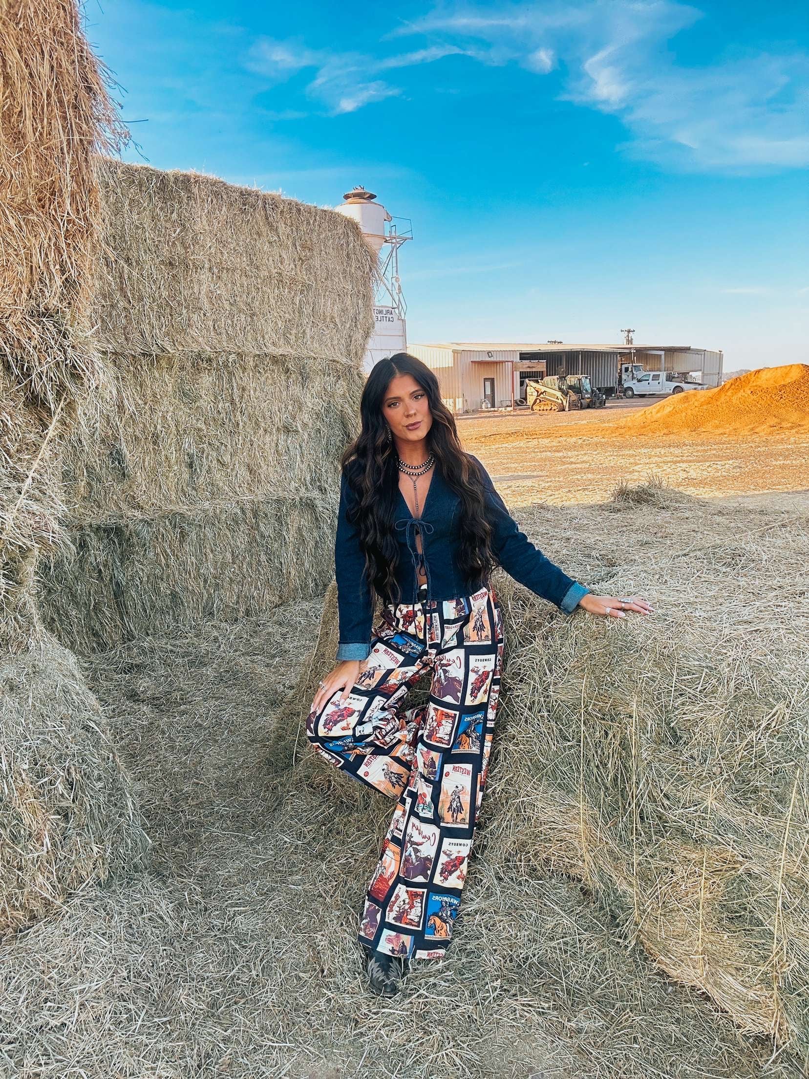 The Lasso Denim Top - best seller