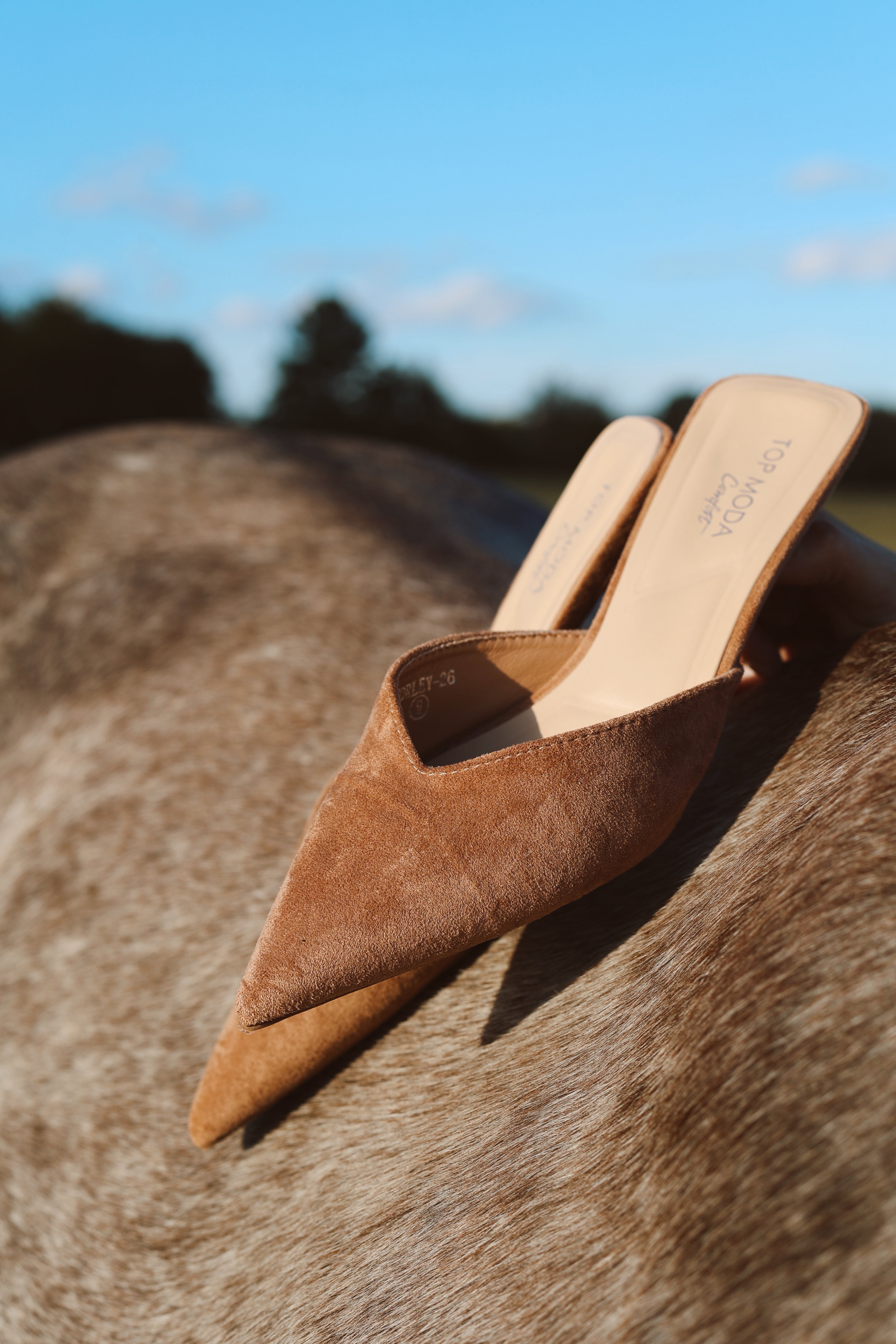 The Kitten Heel - Camel