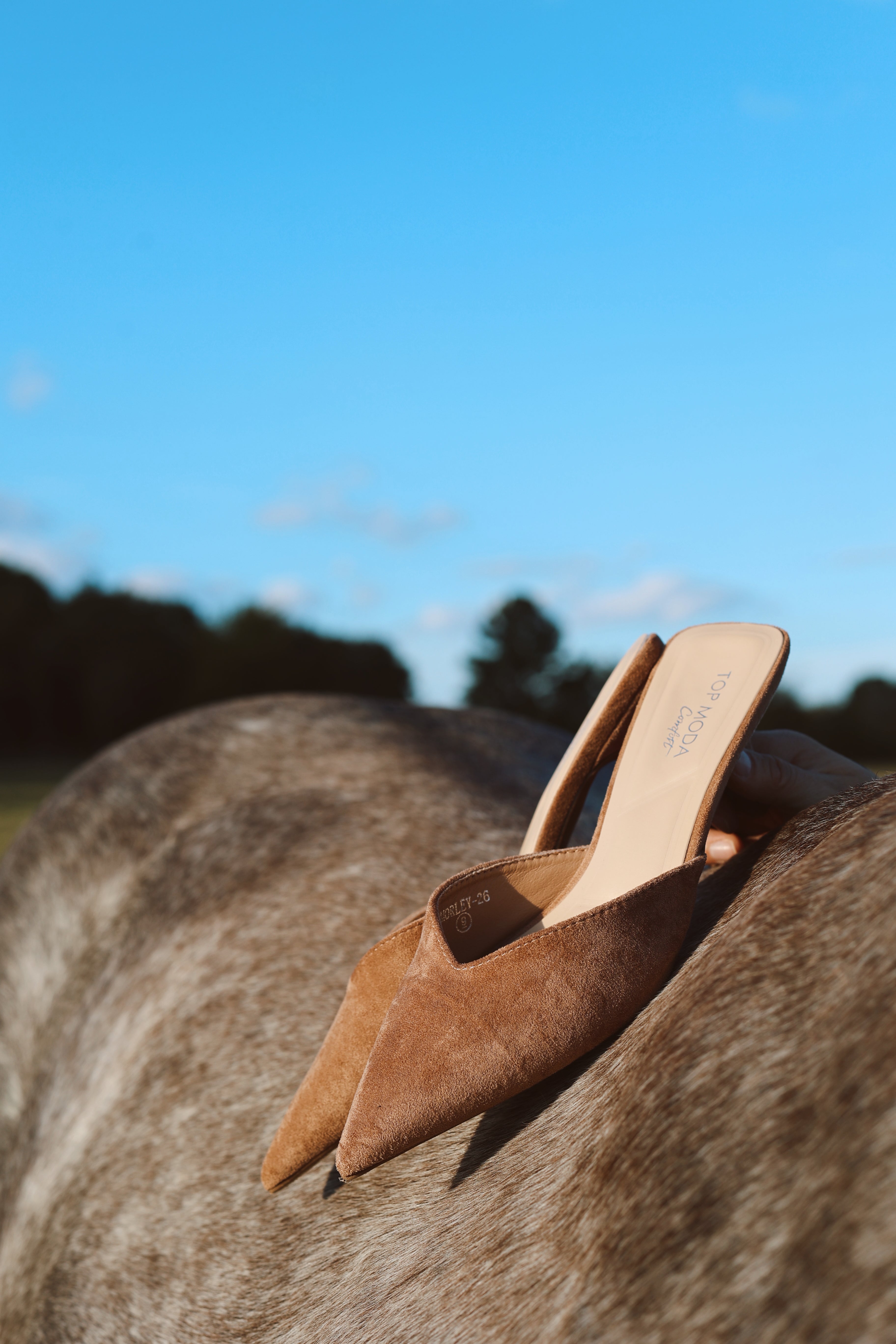 The Kitten Heel - Camel