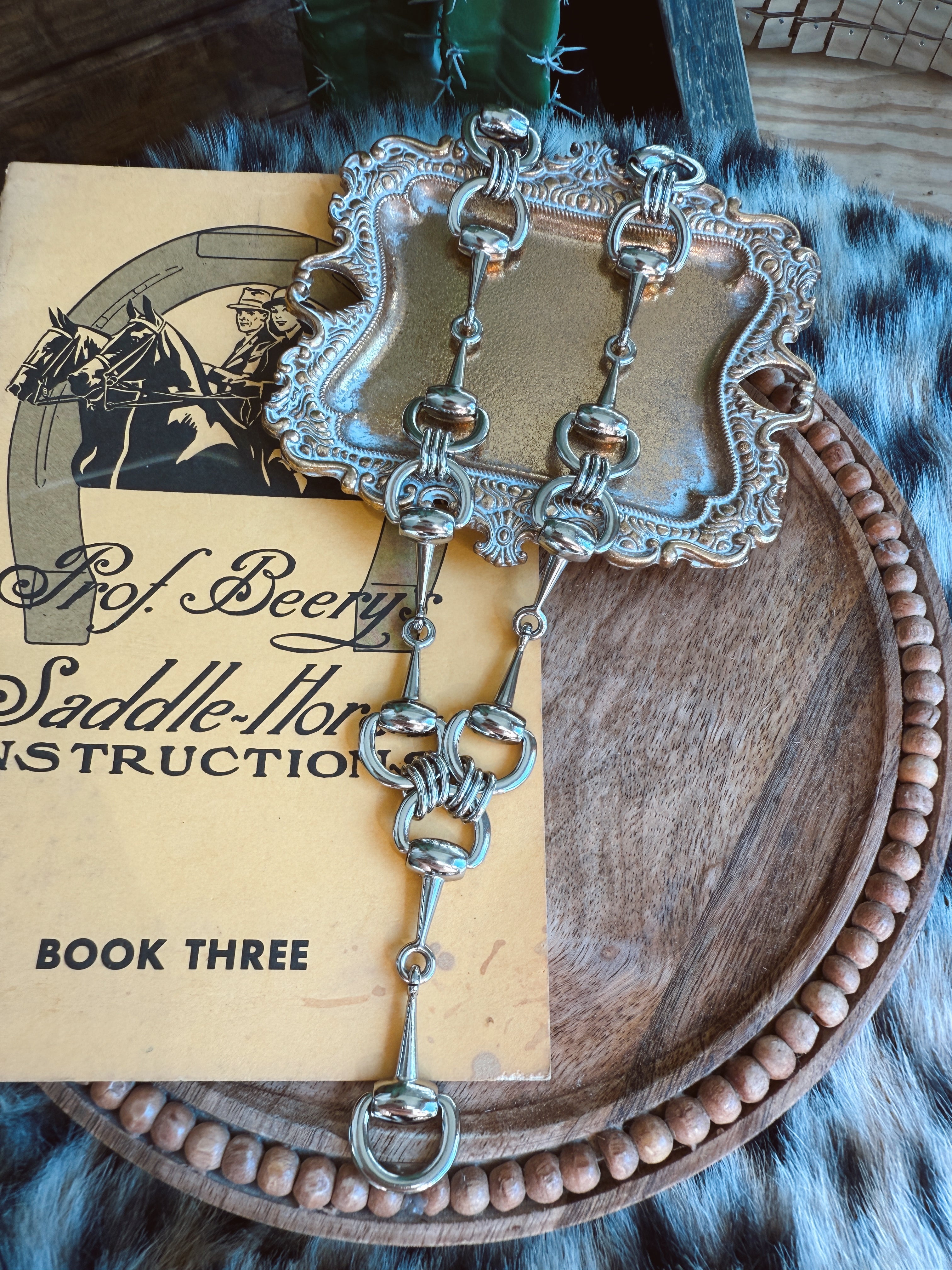 The Snaffle Bit Lariat Necklace - Silver