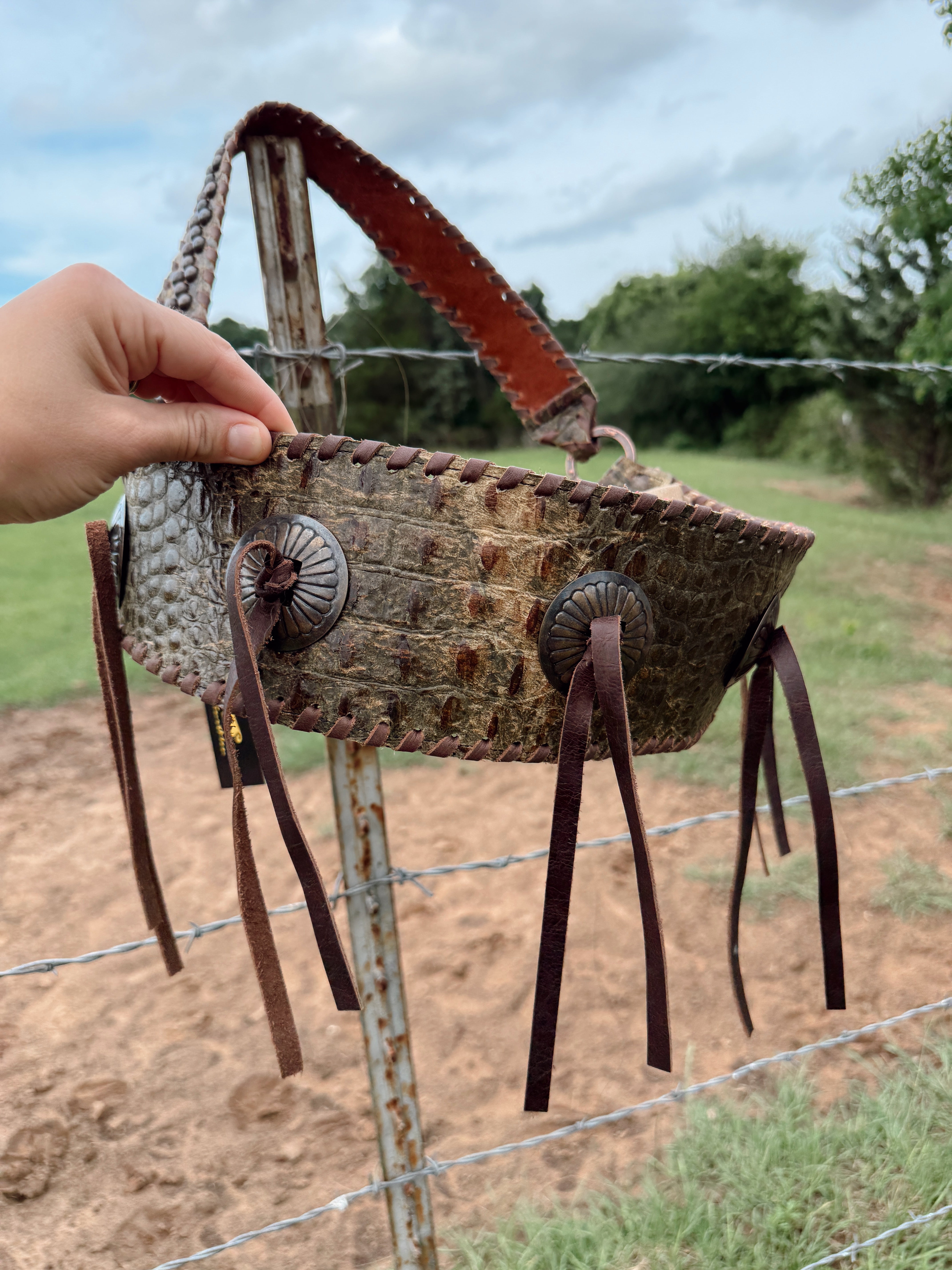 The Armadillo Bag