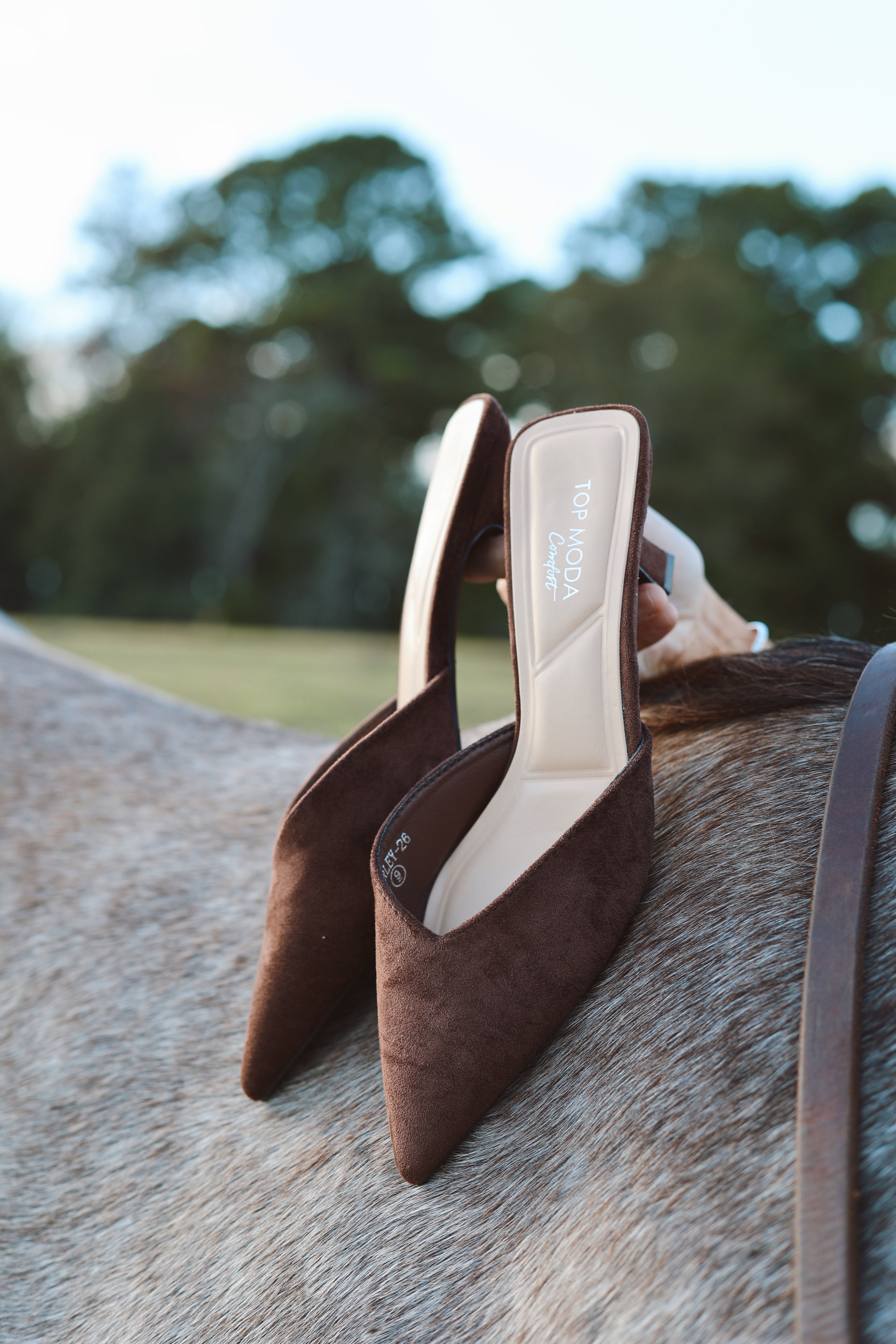 The Kitten Heel- Chocolate