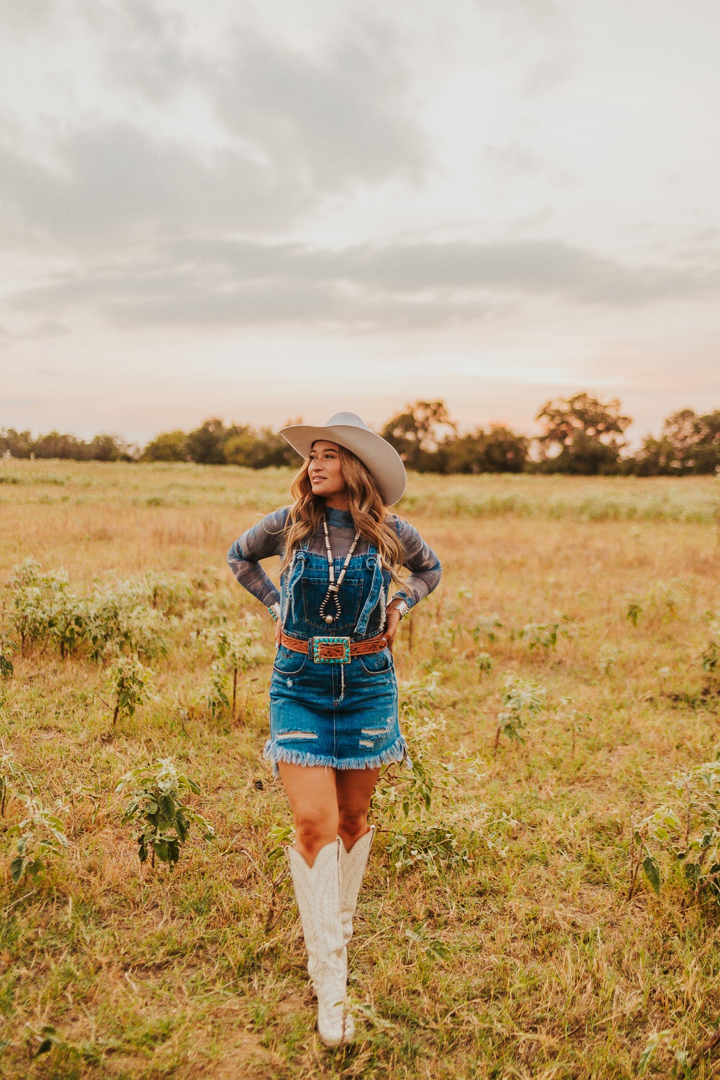 The Denim Overall Dress