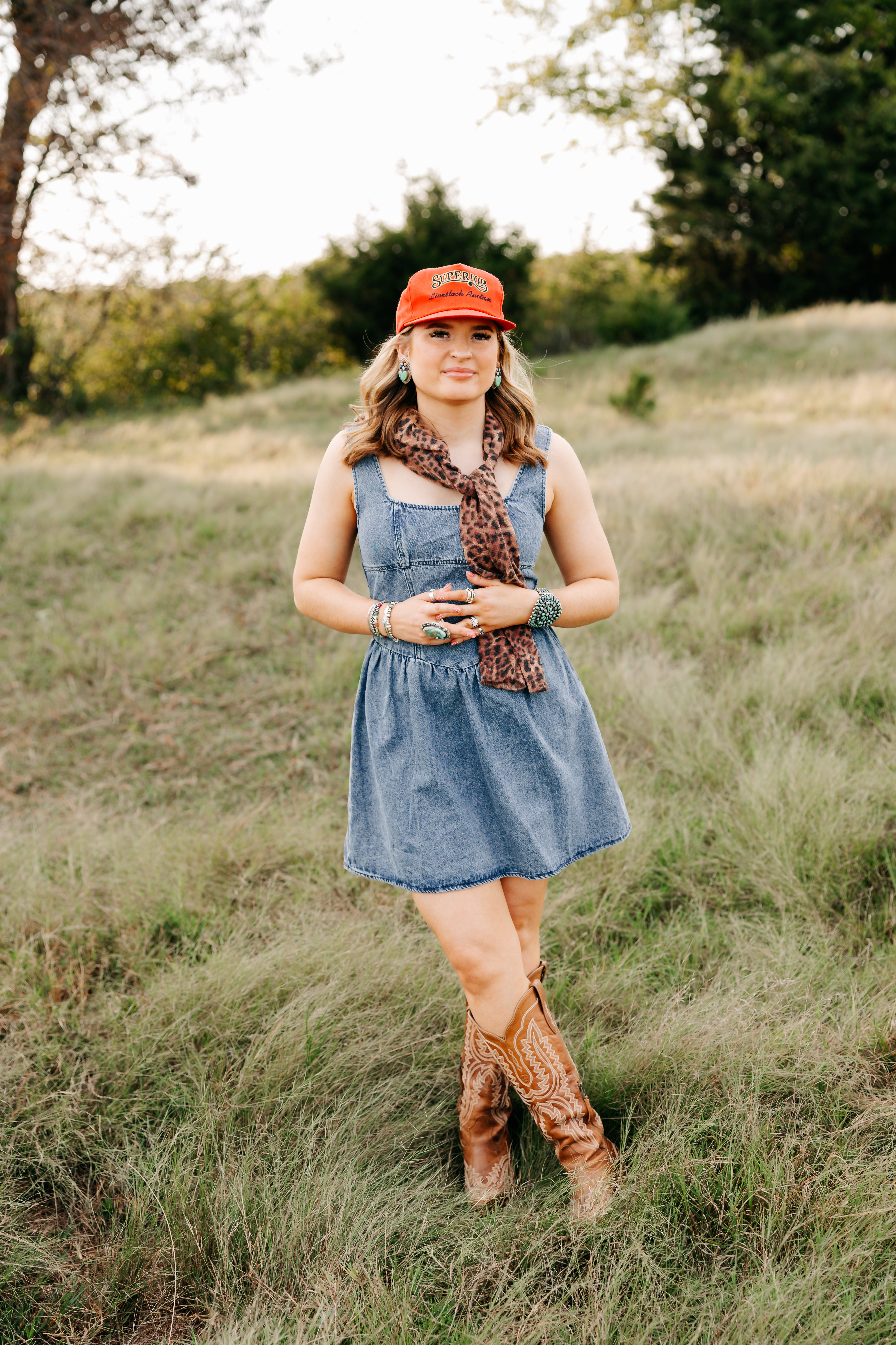 The Taylor Denim Dress