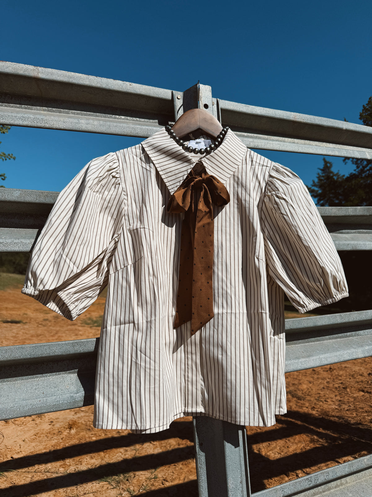 The Bow Top