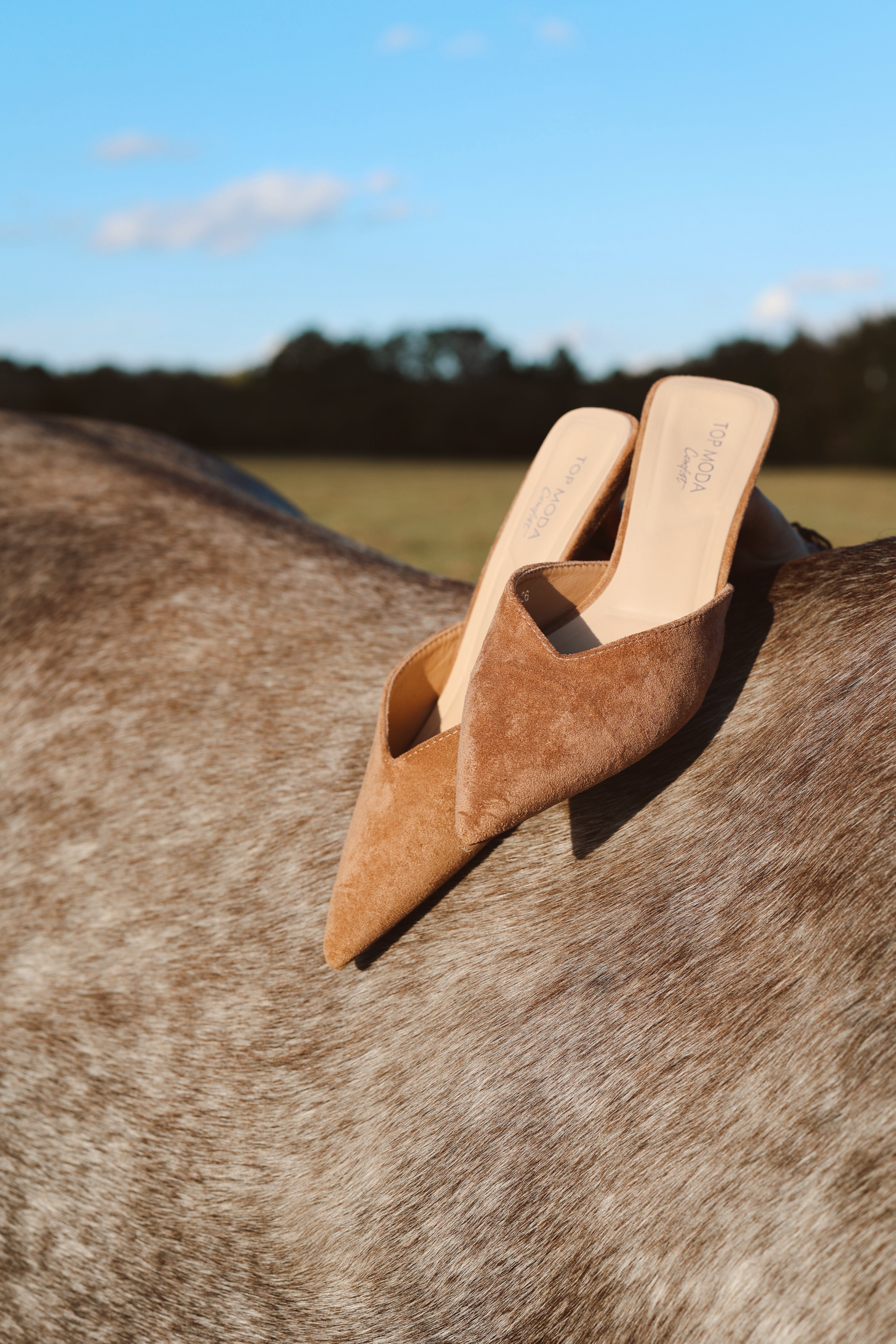 The Kitten Heel - Camel