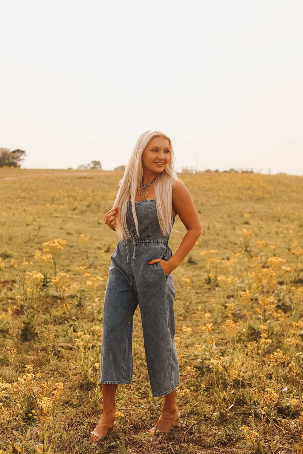 The Sky Denim Jumpsuit
