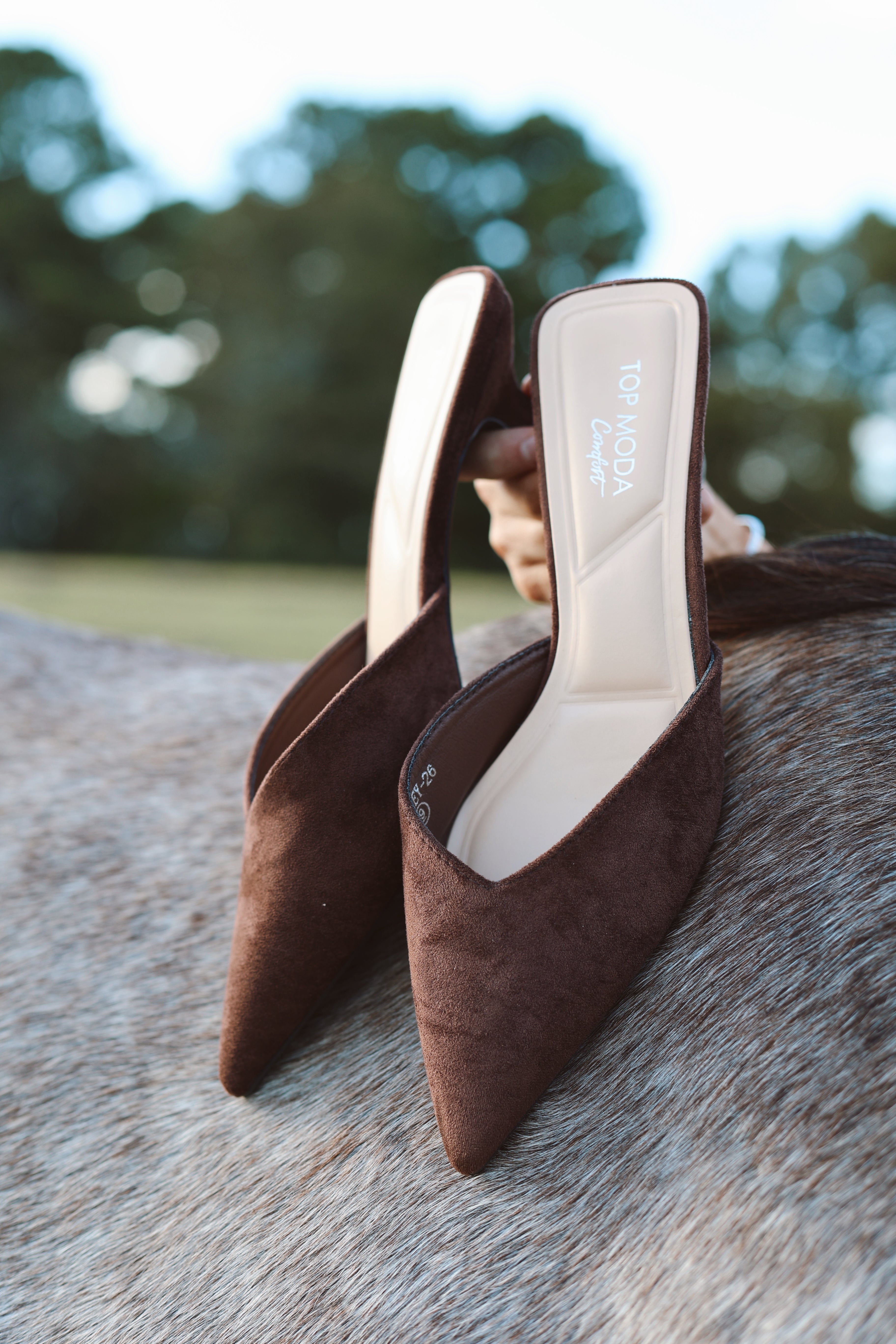 The Kitten Heel- Chocolate