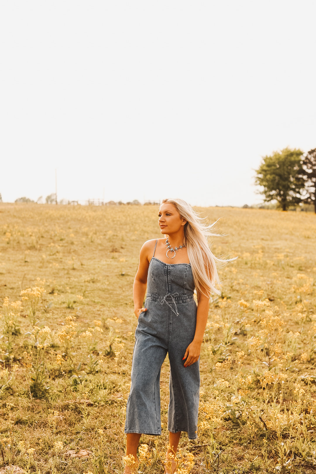 The Sky Denim Jumpsuit