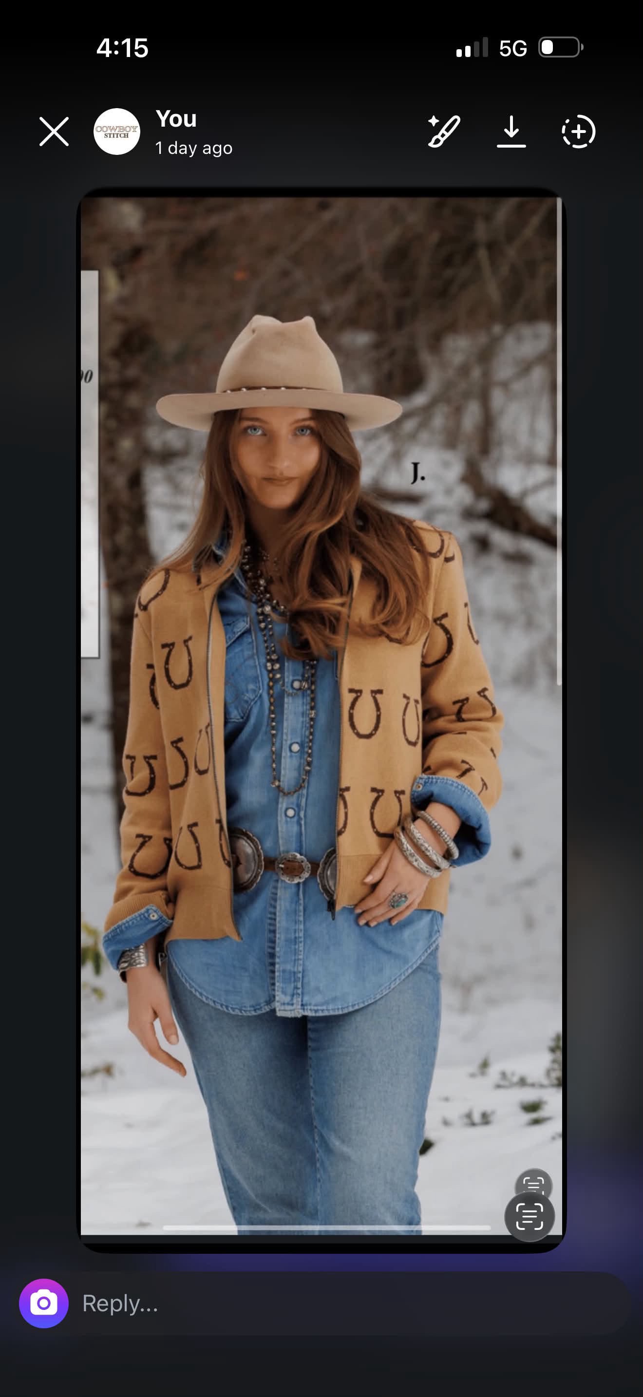 The Tasha Polizzi Horseshoe Sweater