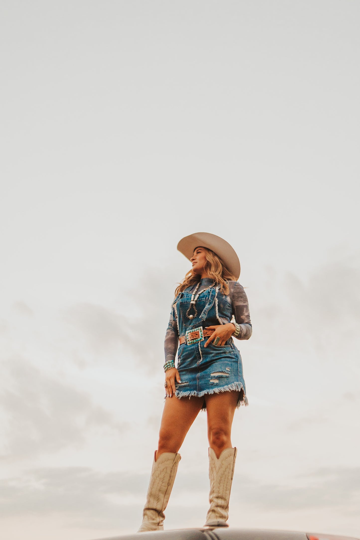 The Denim Overall Dress