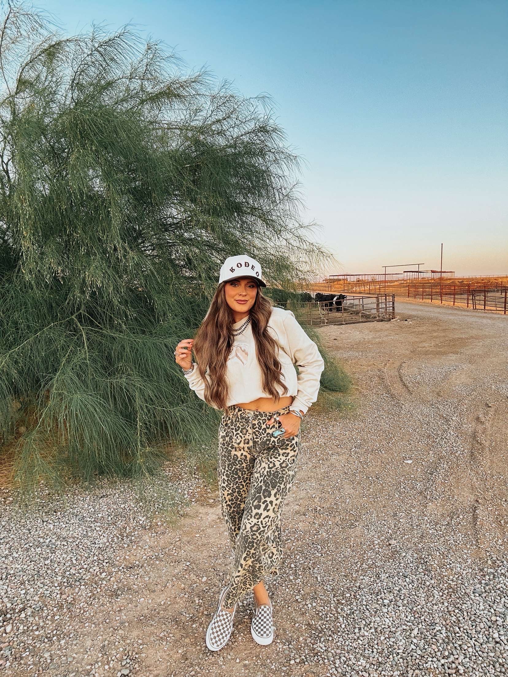 The Embroidered Horse Top