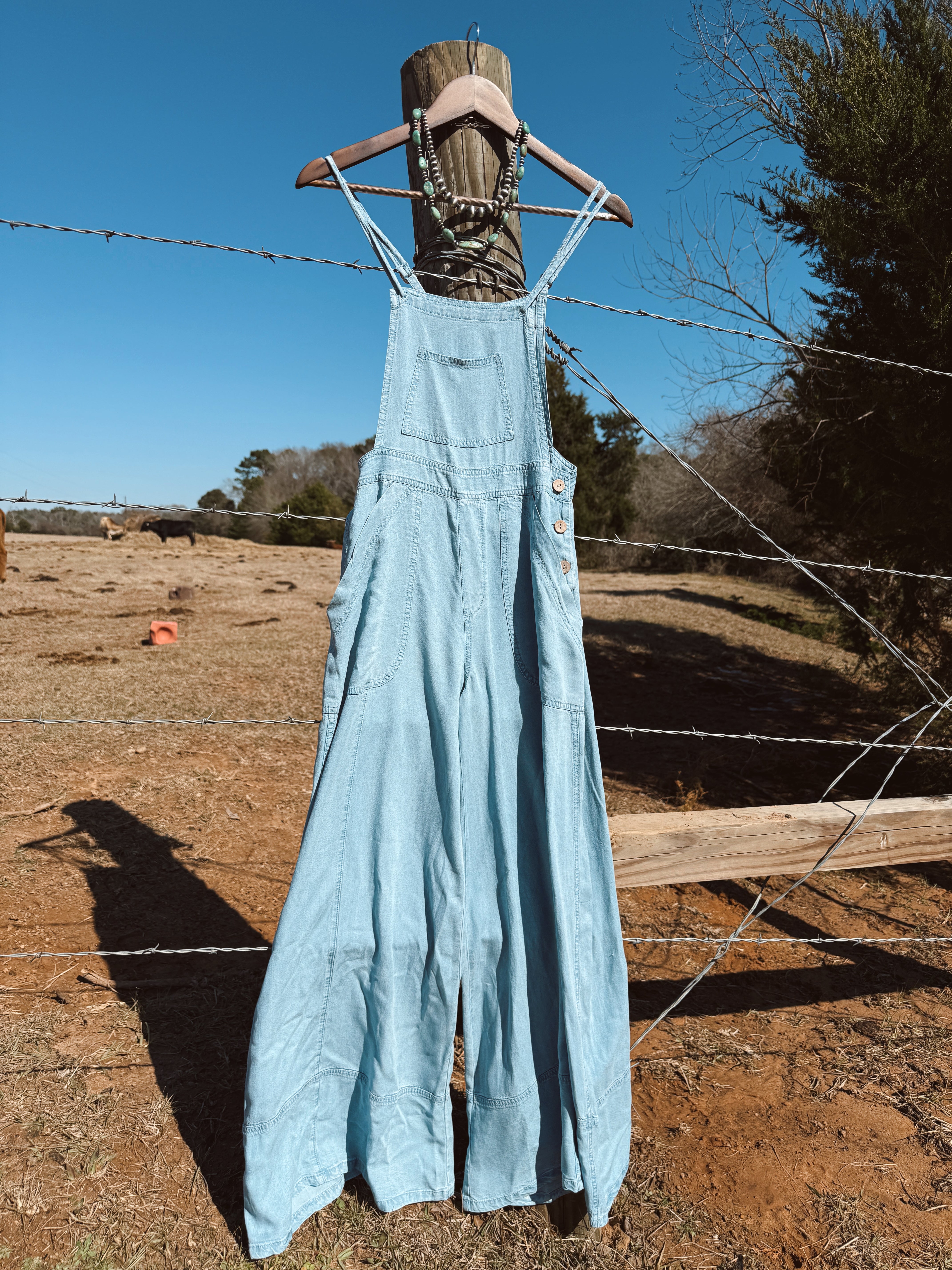 The Chambray Overalls