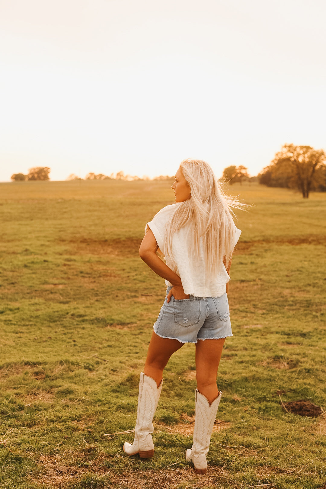 The Wayne Western Shorts size 24