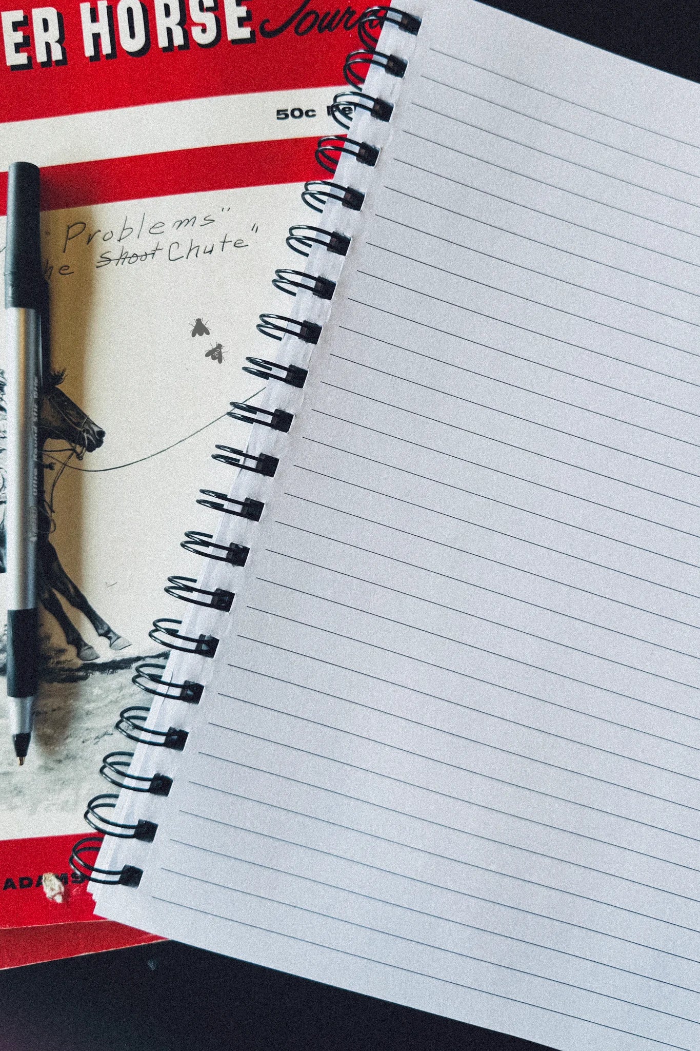 The Notebook - Meowdy