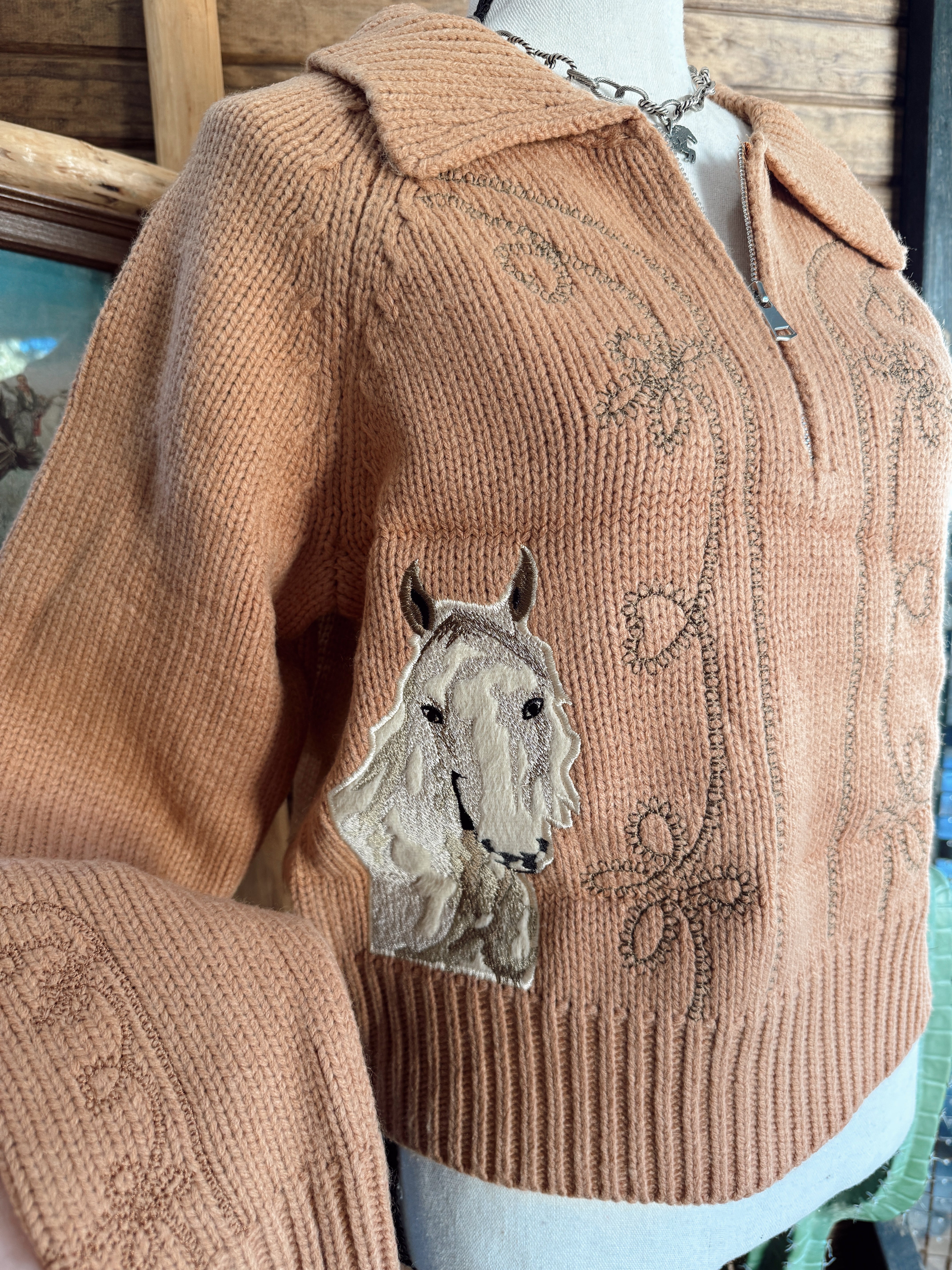 The Western Embroidered Zip Up