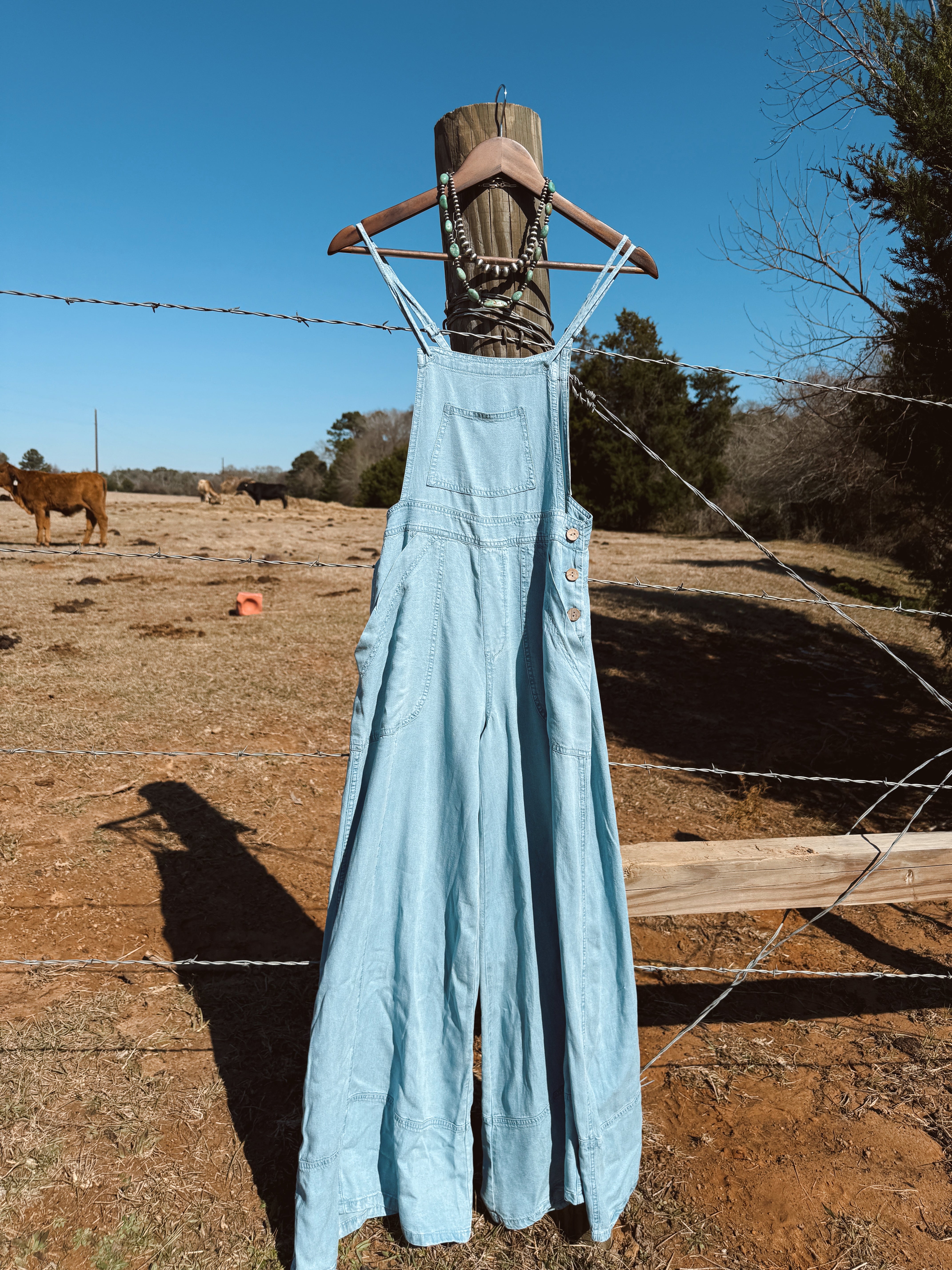 The Chambray Overalls