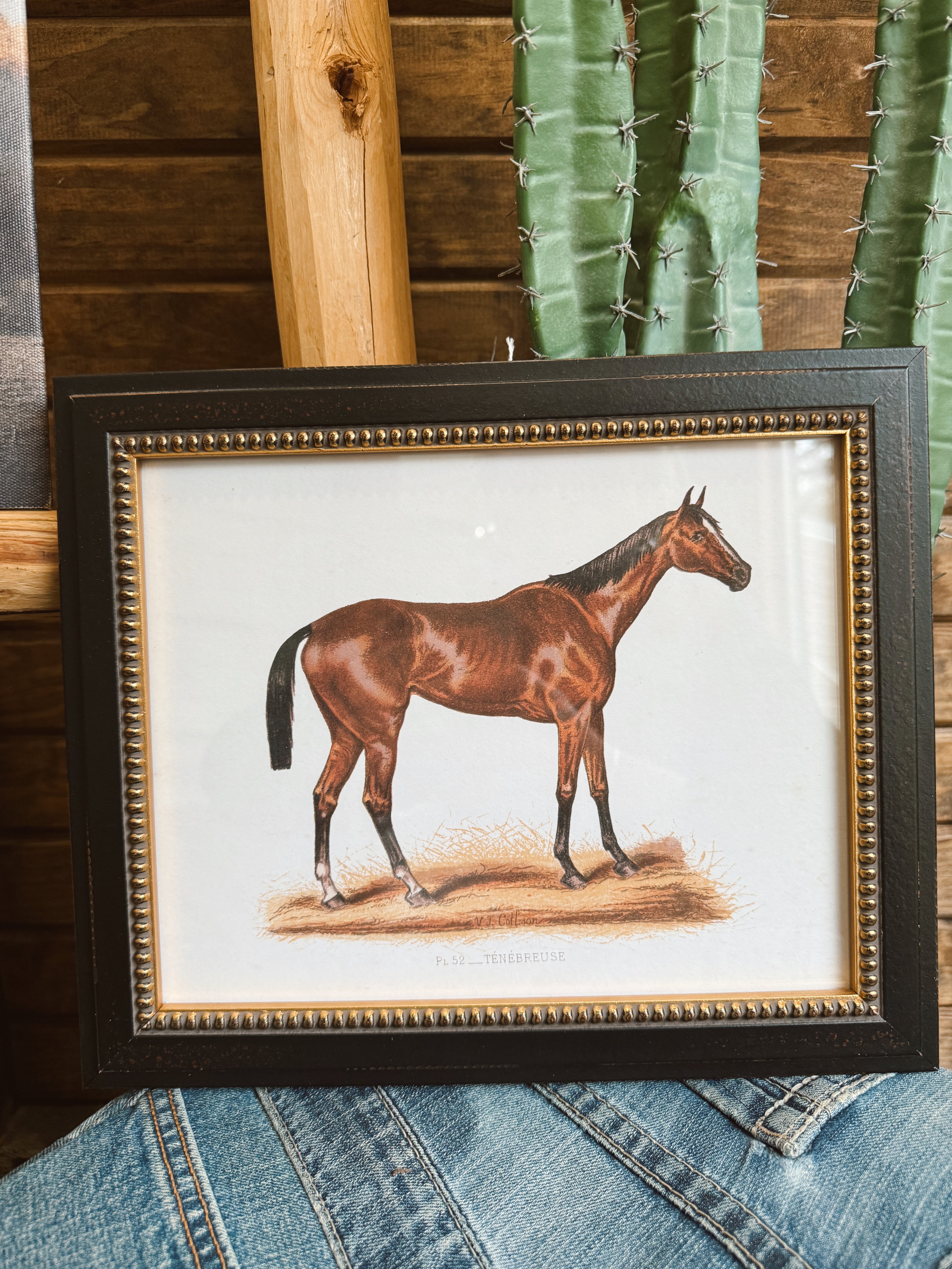 The Vintage Race Horse