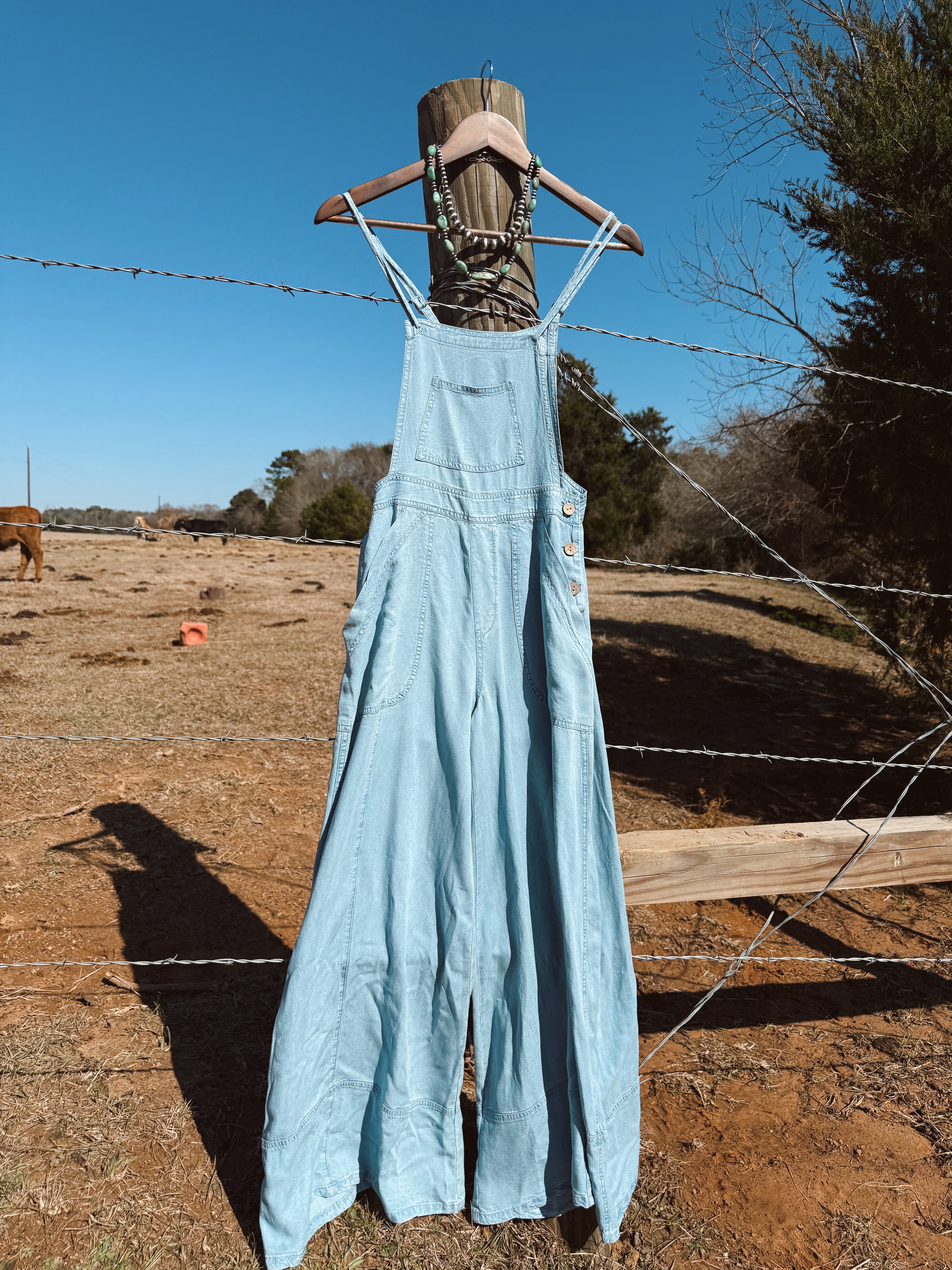 The Chambray Overalls