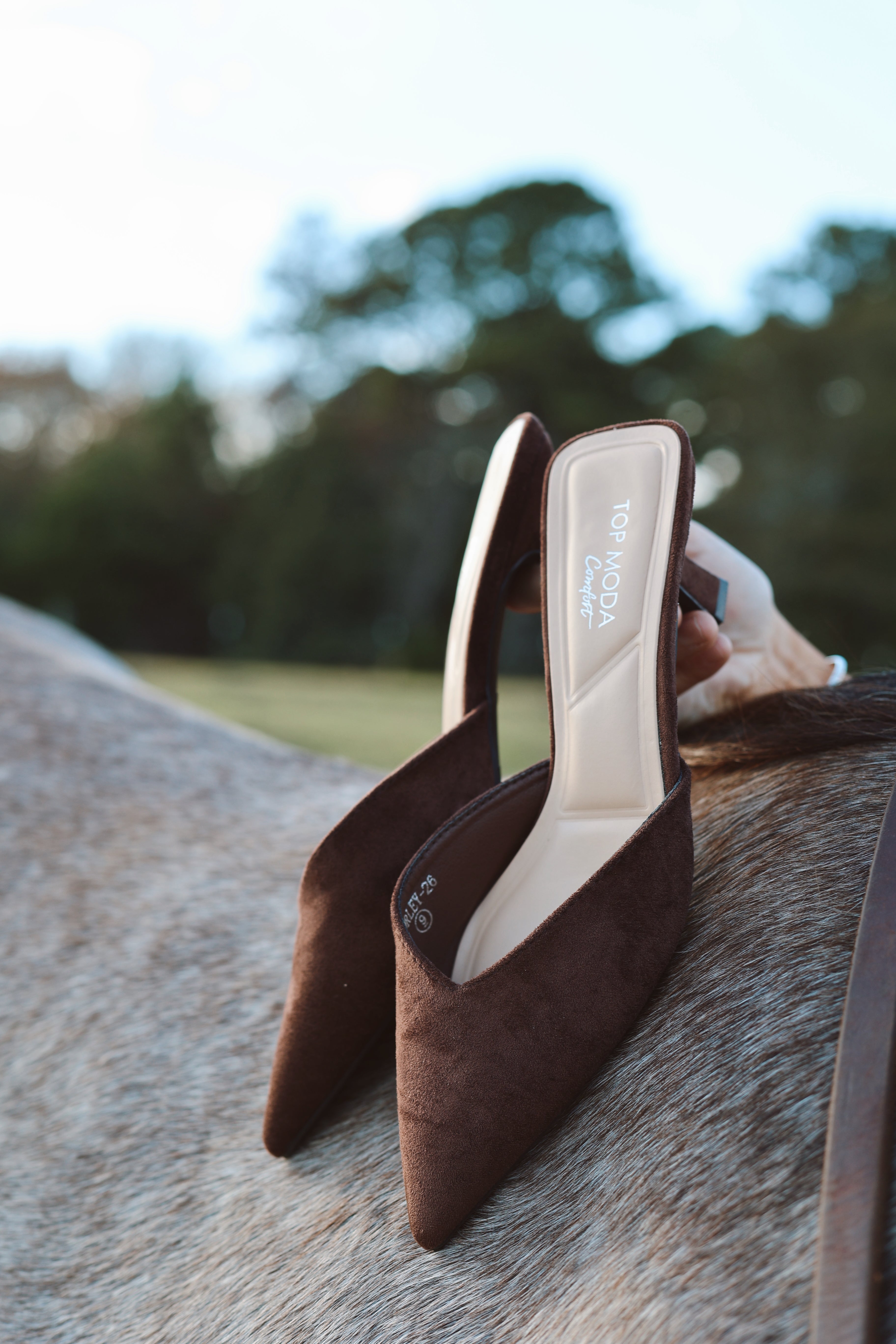 The Kitten Heel- Chocolate