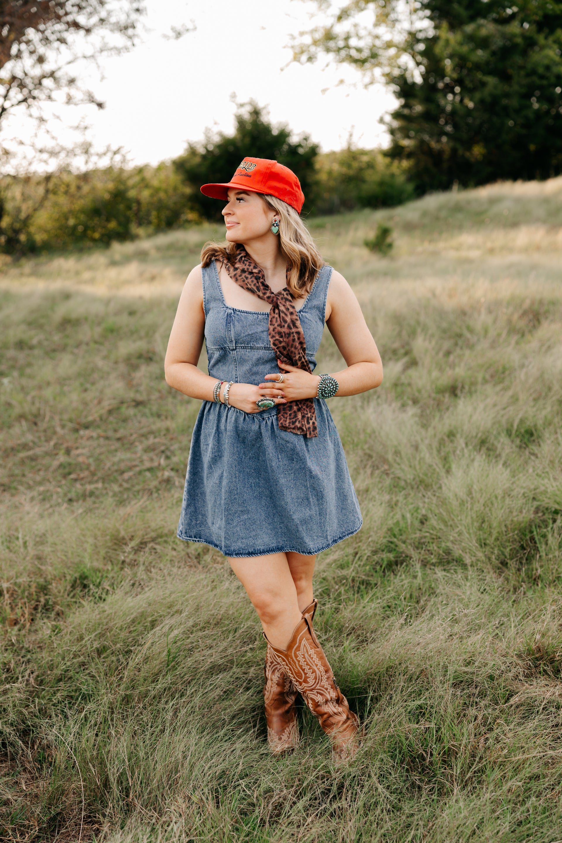 The Taylor Denim Dress S