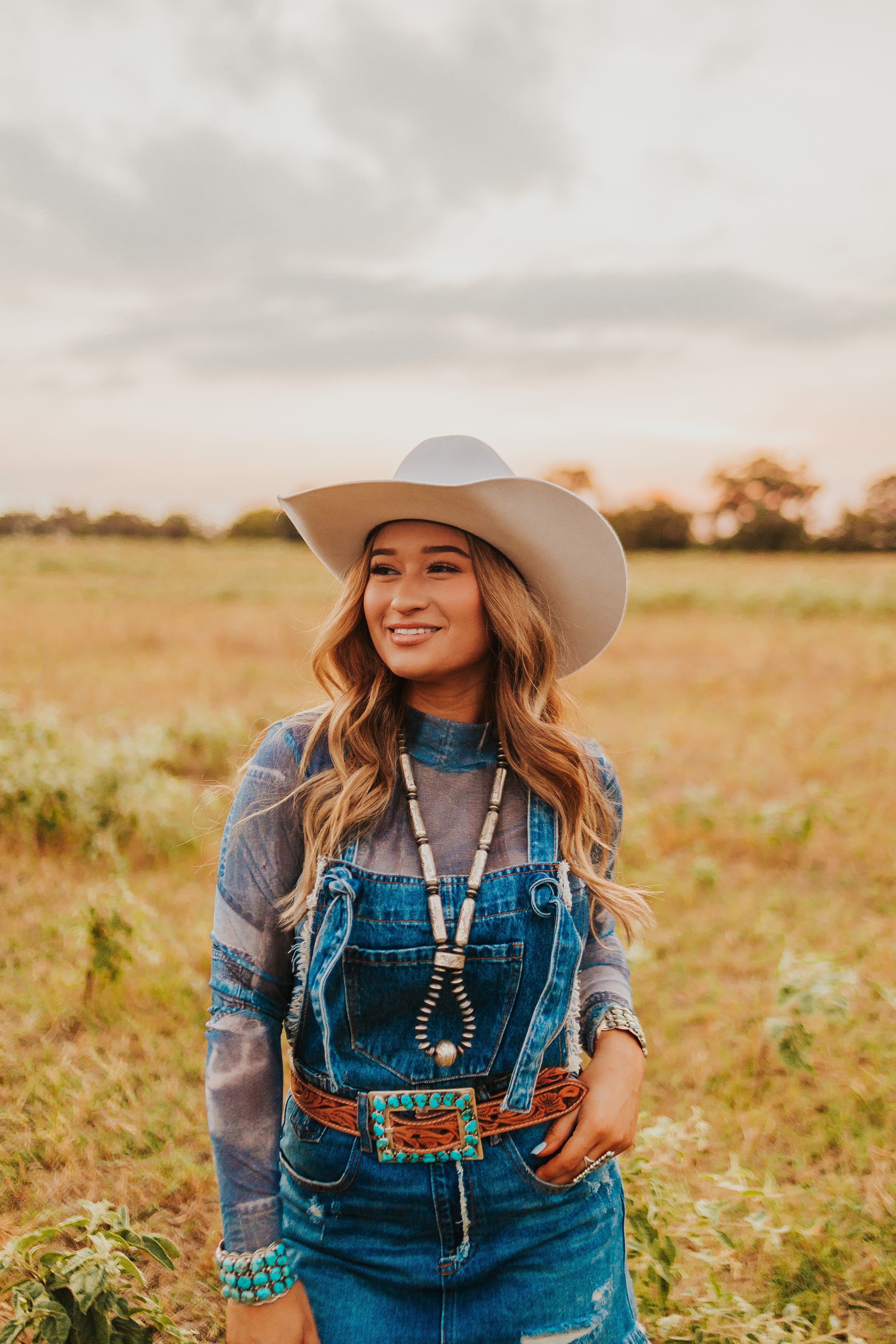 The Denim Overall Dress Cowboy Stitch