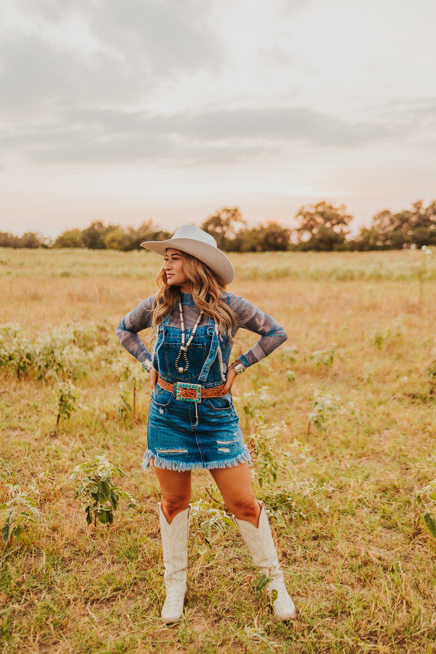 The Denim Overall Dress