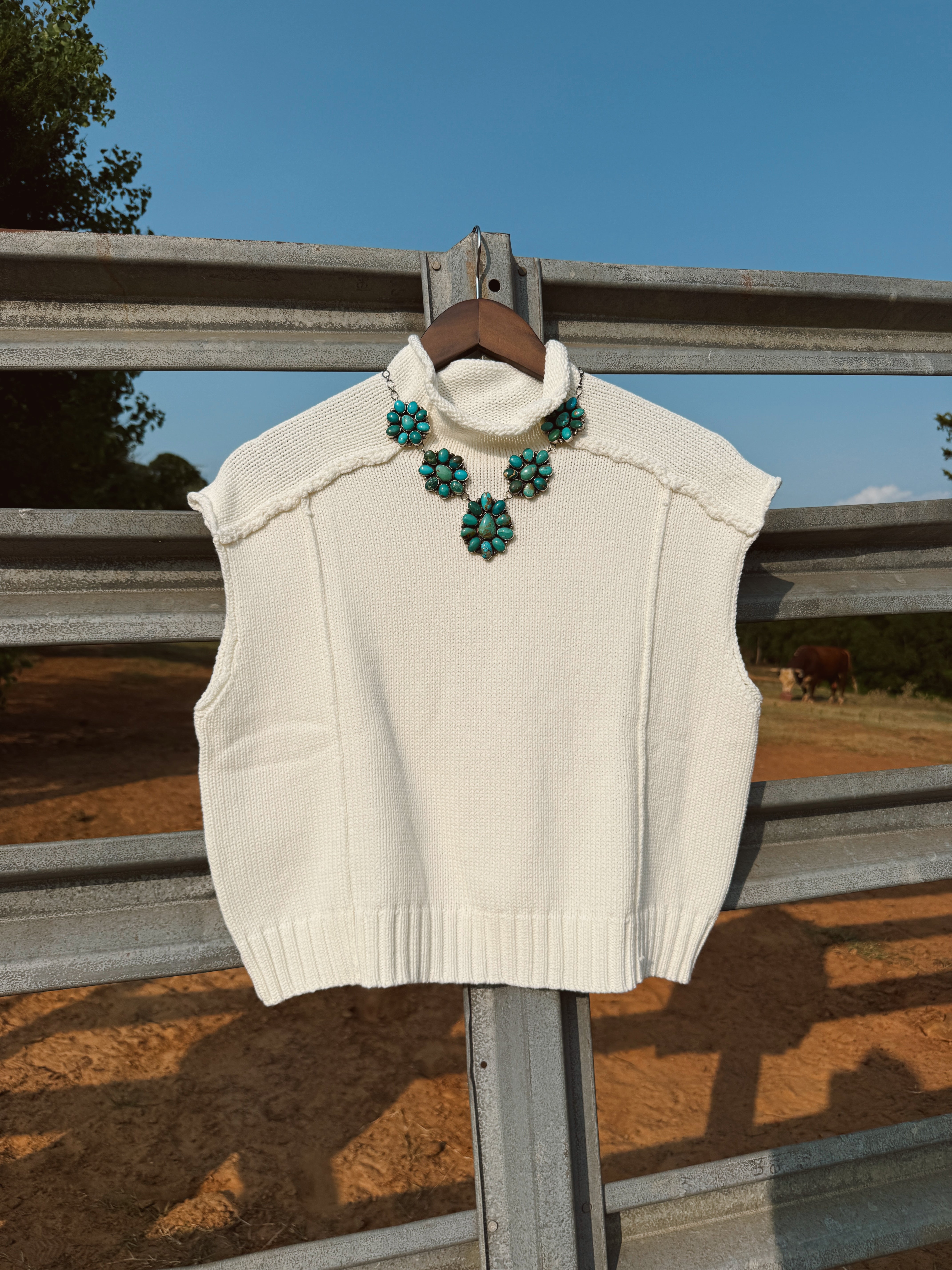 The Chaney Top