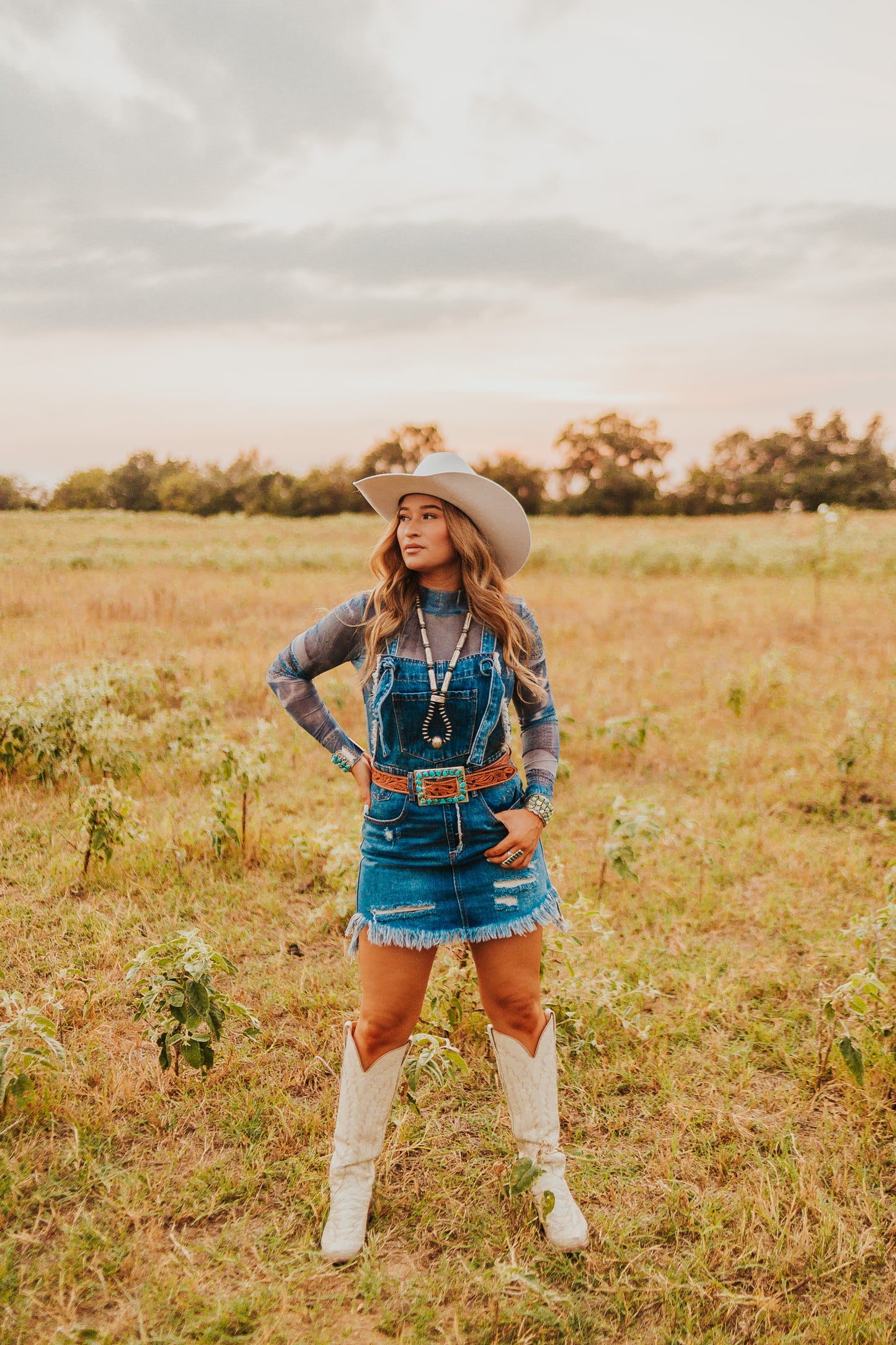 The Denim Overall Dress