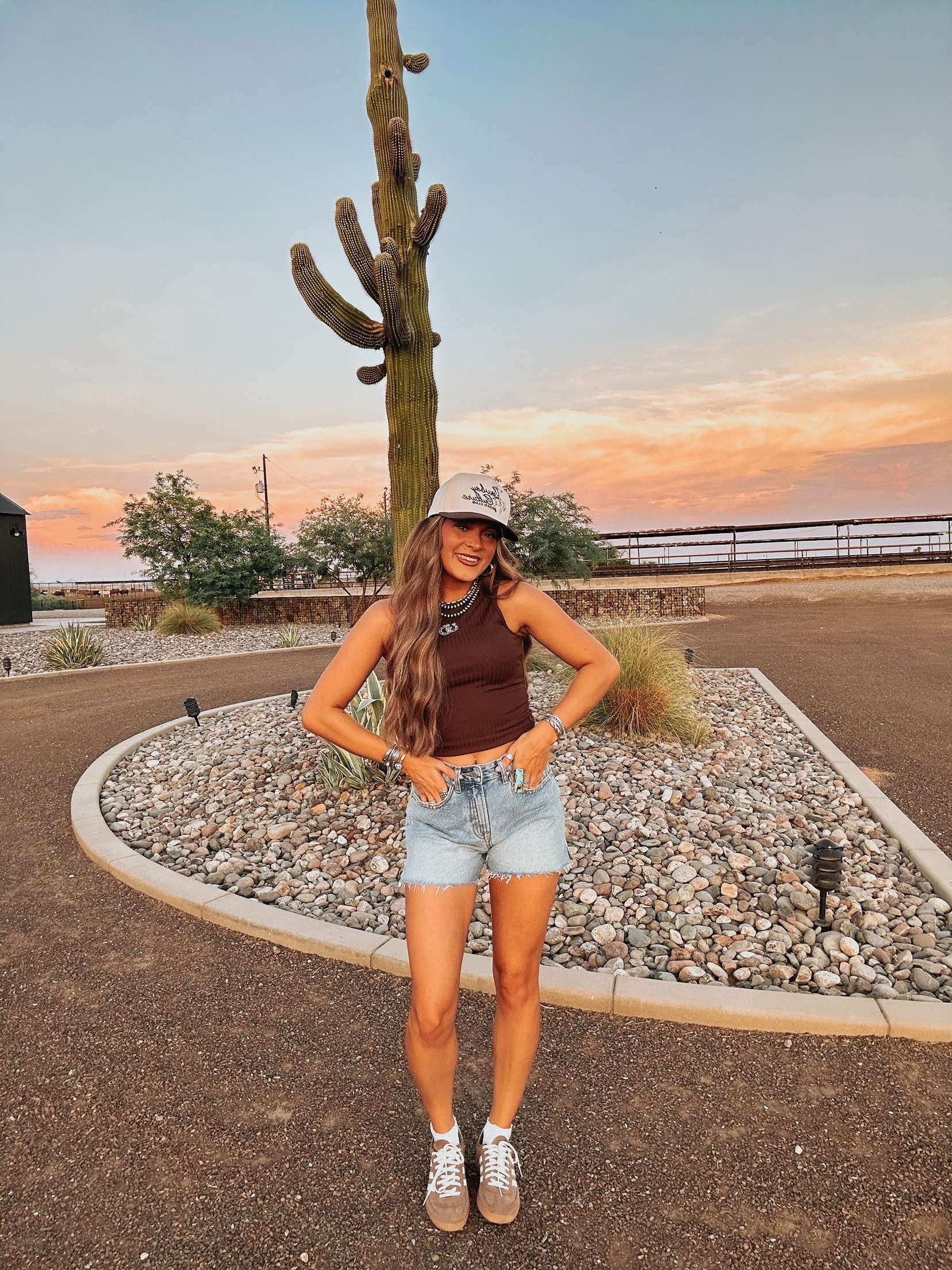 The Cinny Denim Shorts