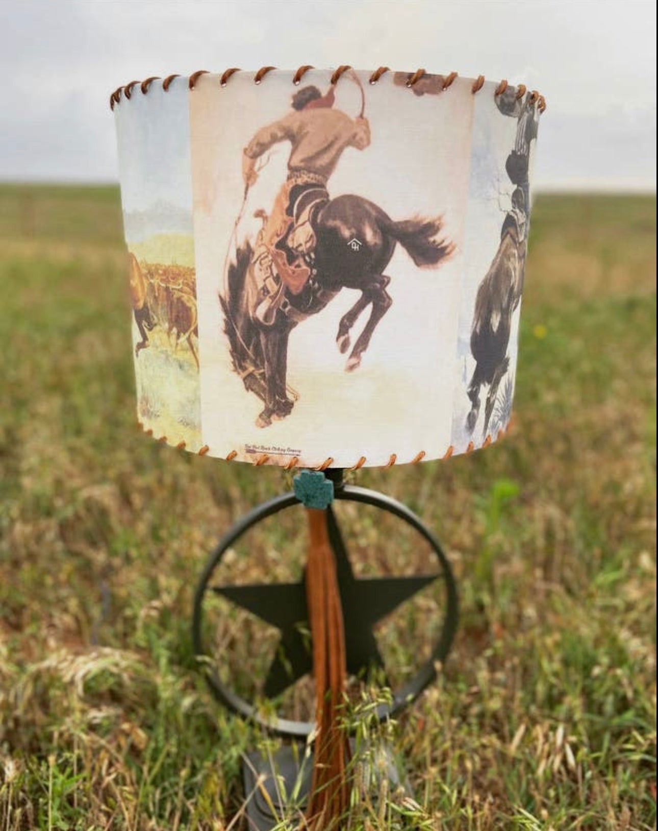 The Rough Rider Lampshade