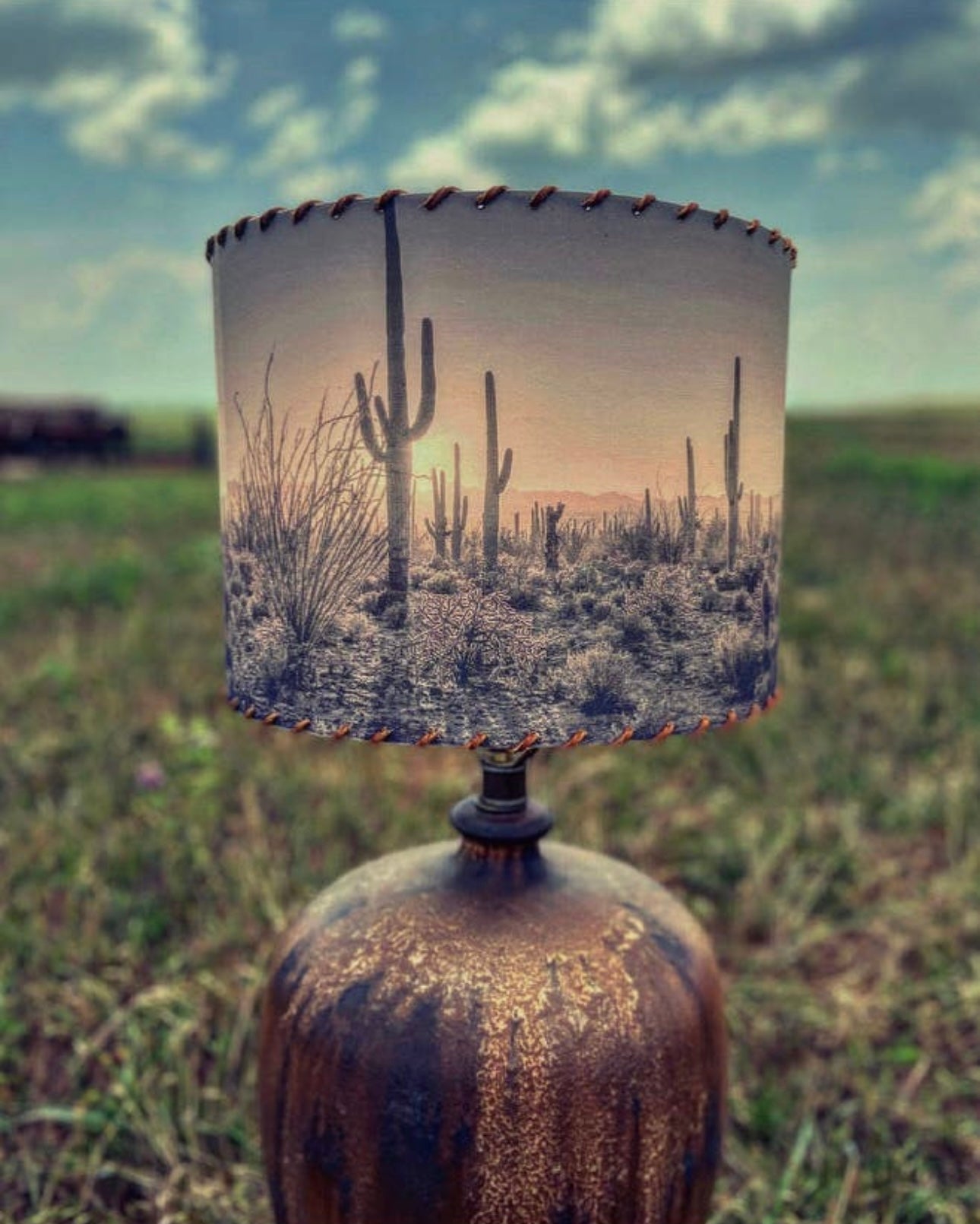 The Cactus Lampshade