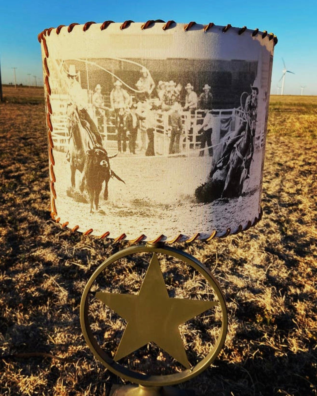 The Team Roping Lampshade